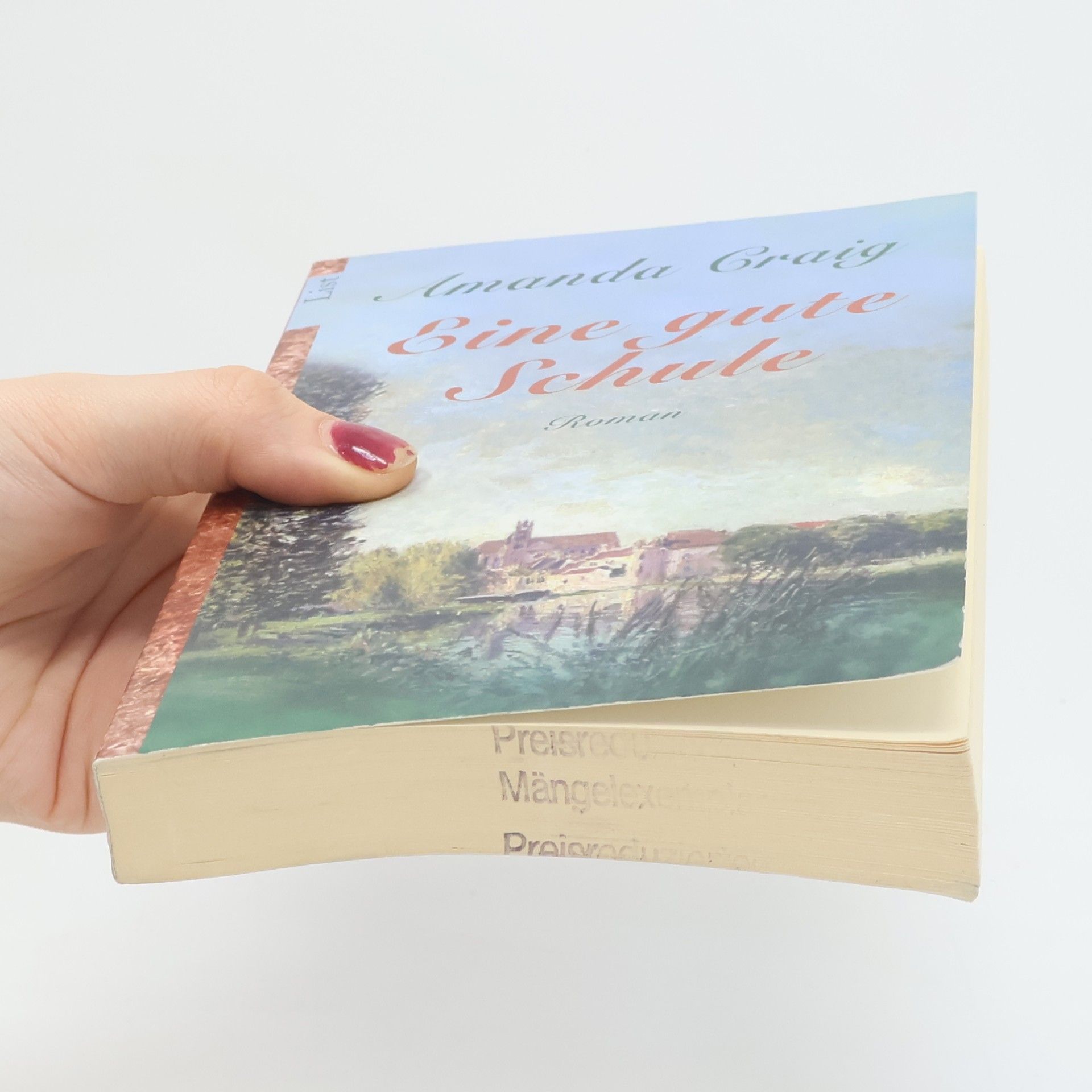 Amanda Craig Eine gute Schule