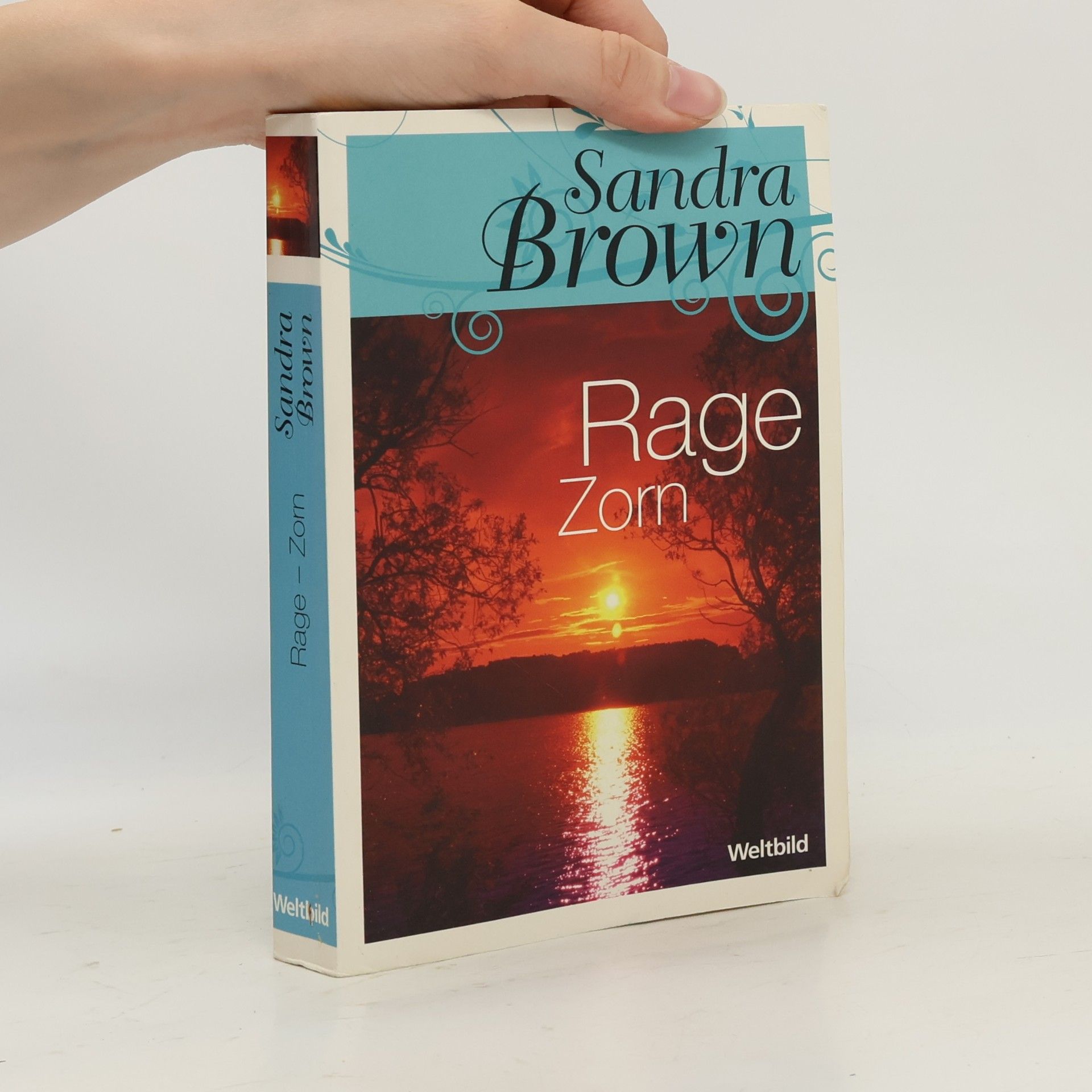 Sandra Brown Rage Zorn