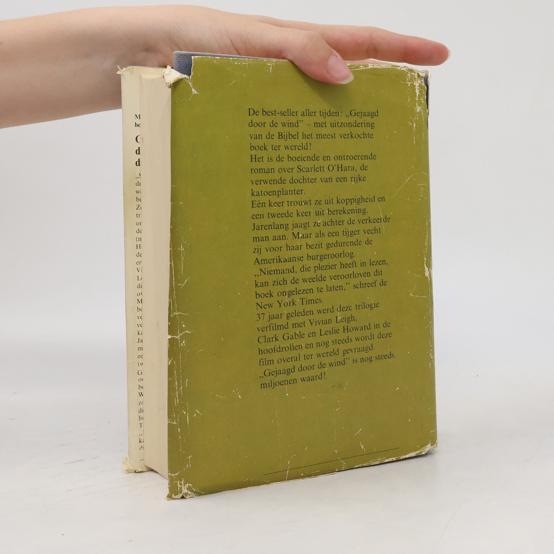 Margaret Mitchell Gejaagd door de wind