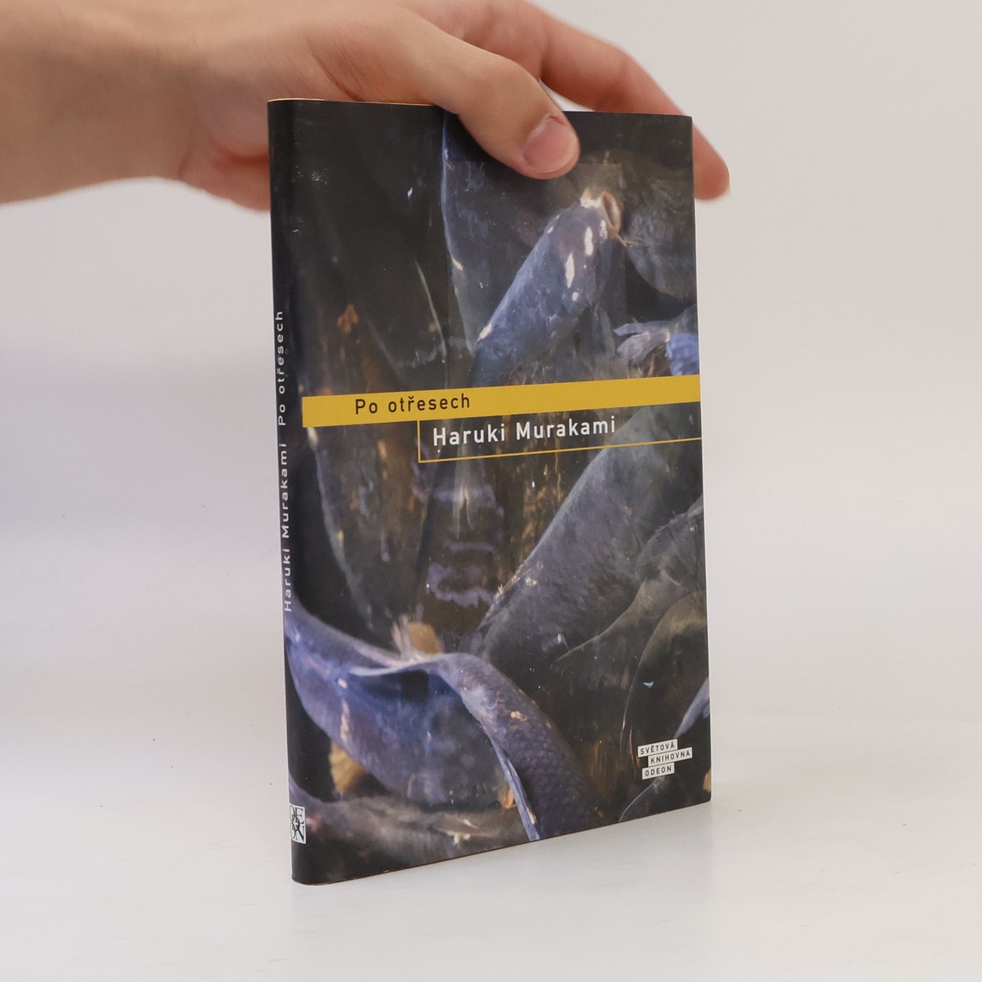 Haruki Murakami Po otřesech