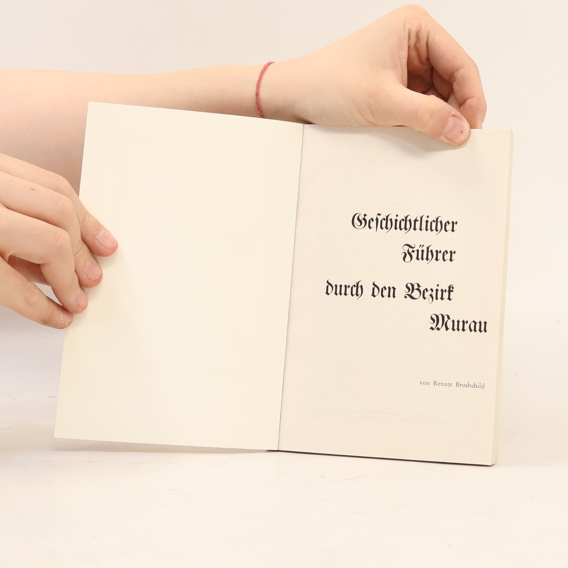Renate Brodschild Geschichtlicher Führer durch den Bezirk Murau