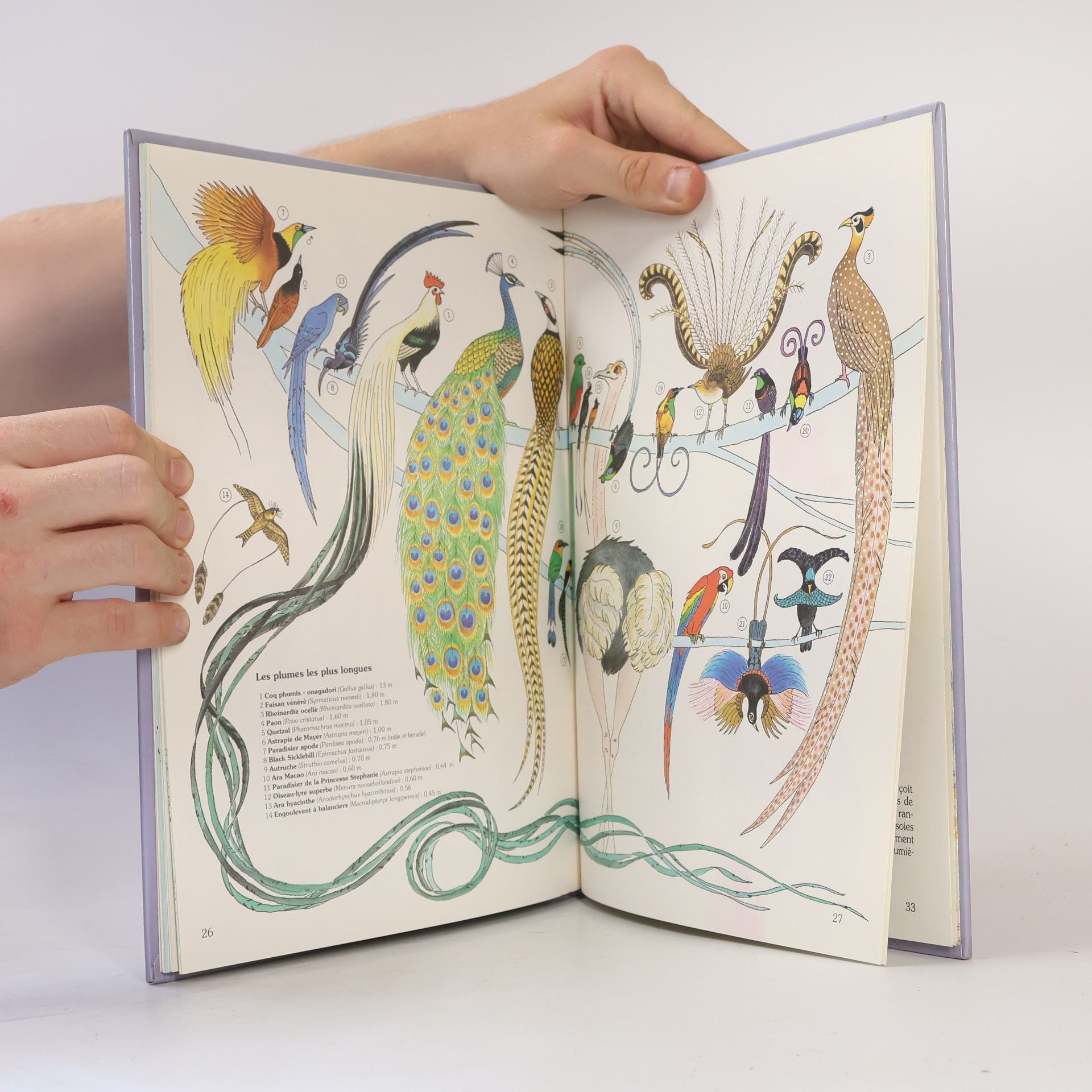 Annette Tison Poils et plumes