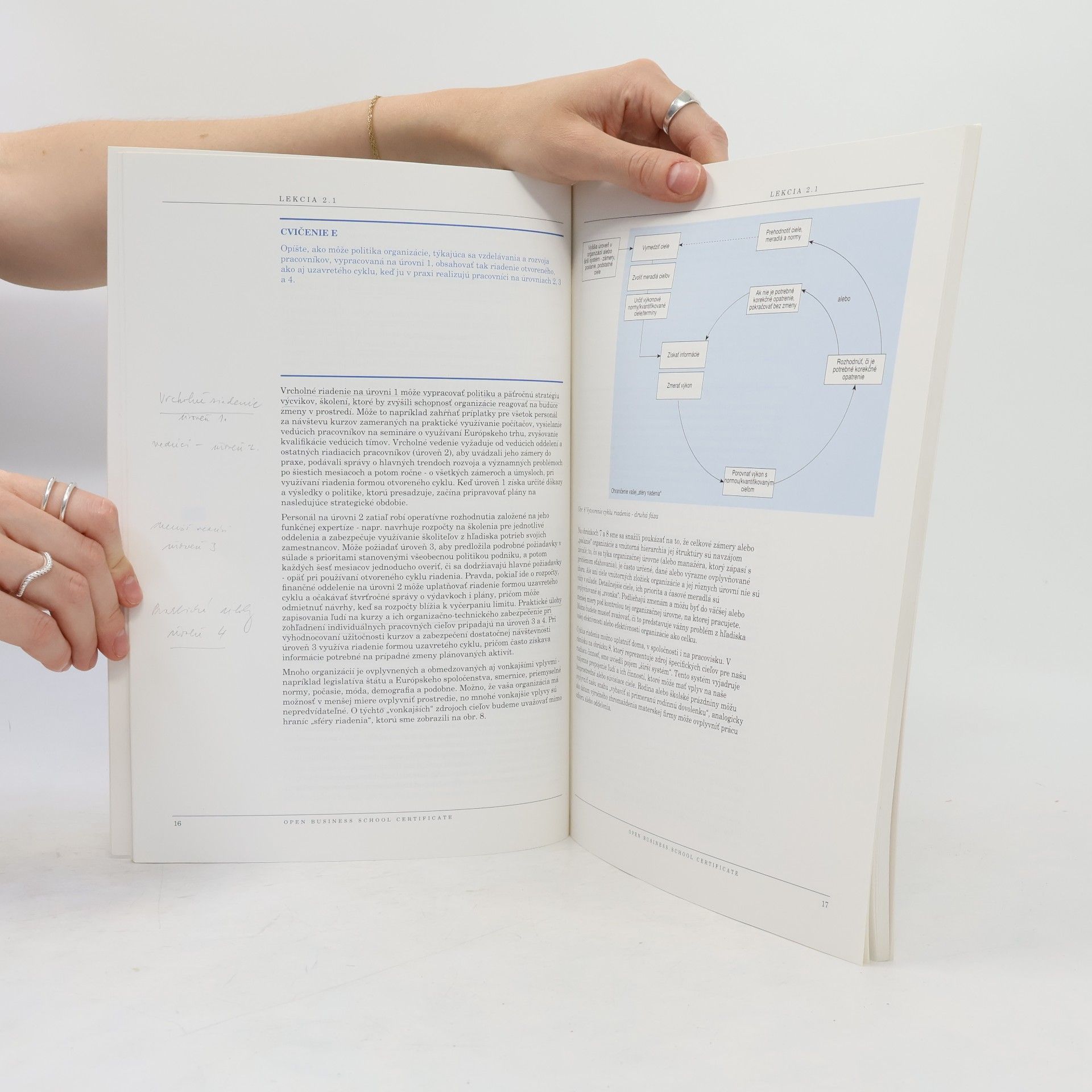 Autorenkollektiv Efektívny manažér – Kniha 2: Riadenie a plánovanie