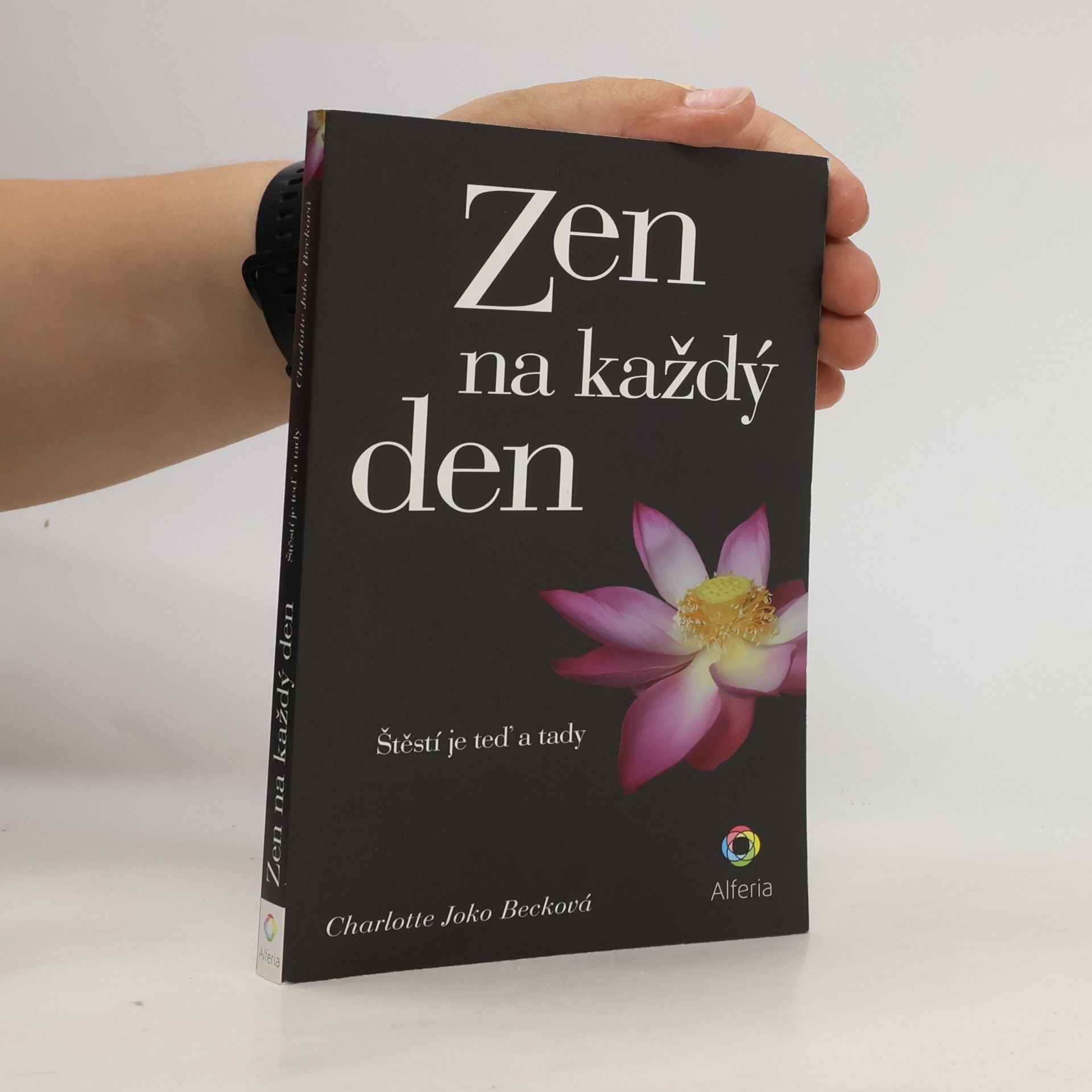 Joko Beck Zen na každý den