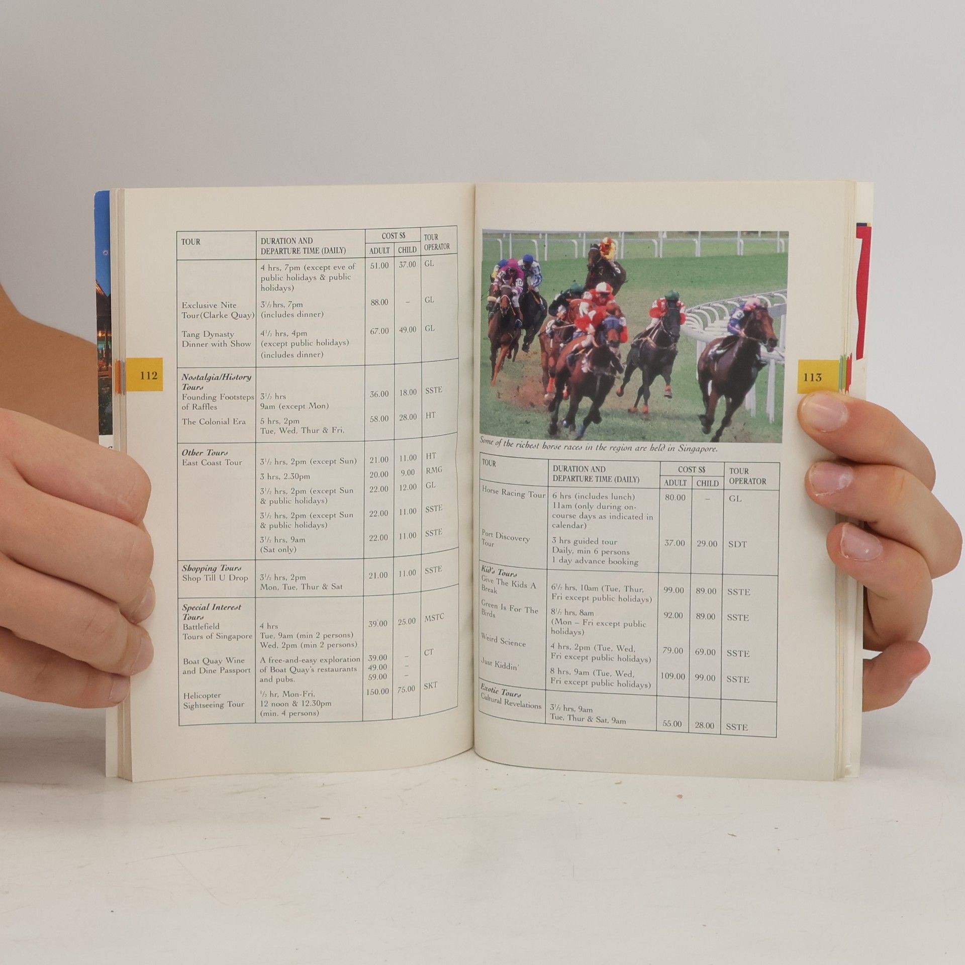 Autorenkollektiv Singapore. Official Guide