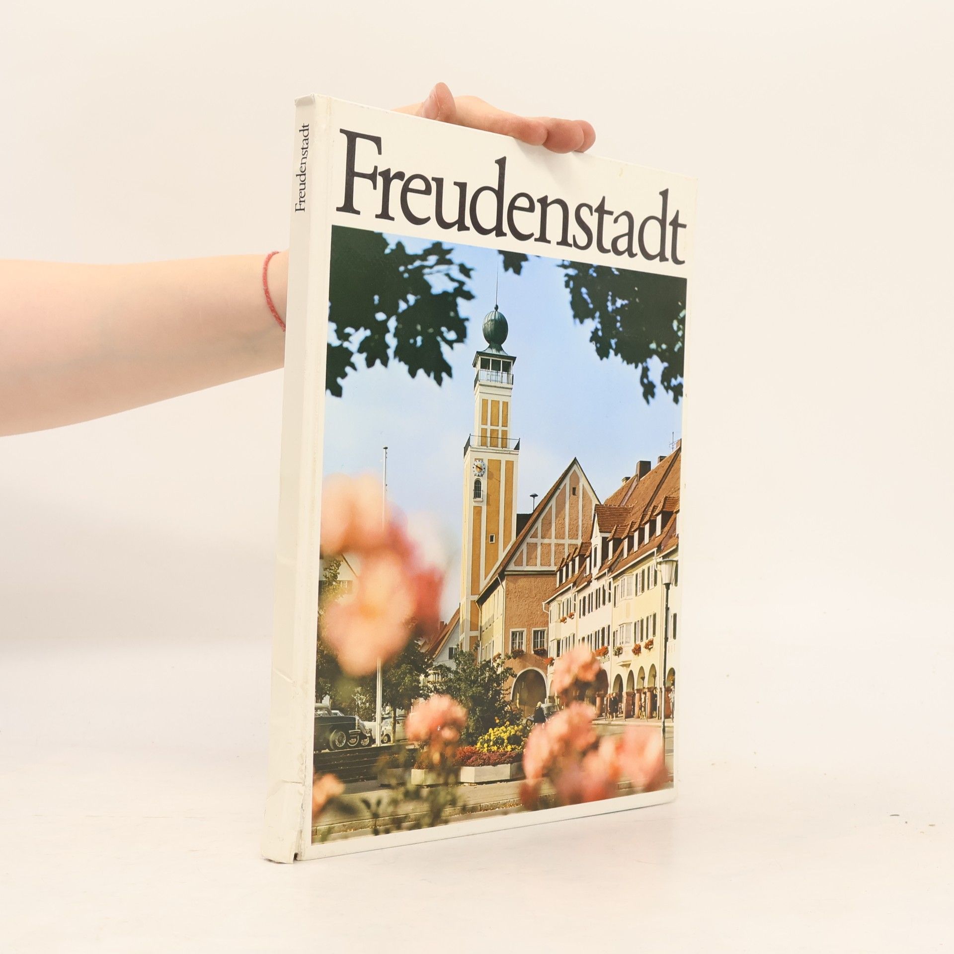 Kolektiv autorů Freudenstadt