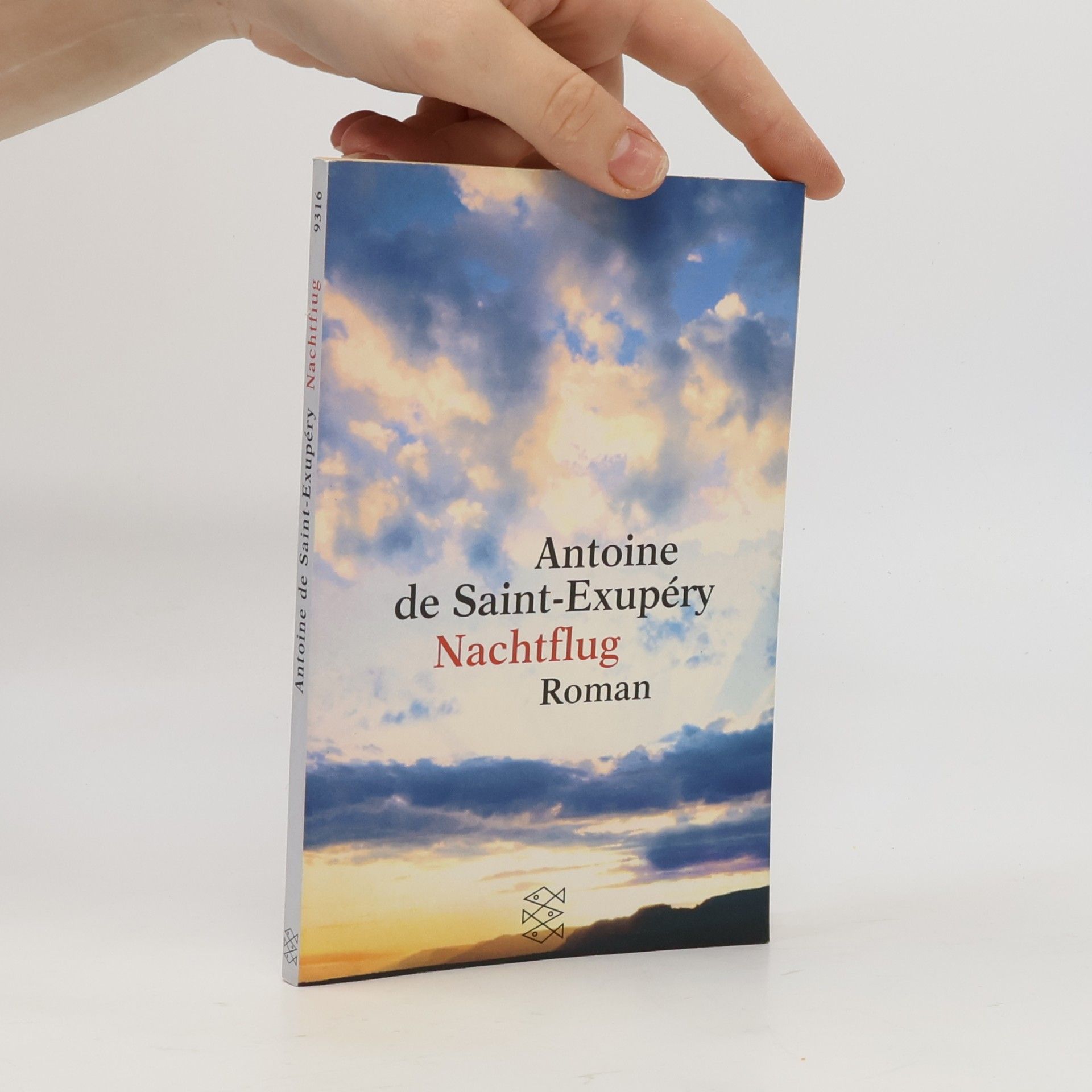 Antoine de Saint-Exupéry Nachtflug