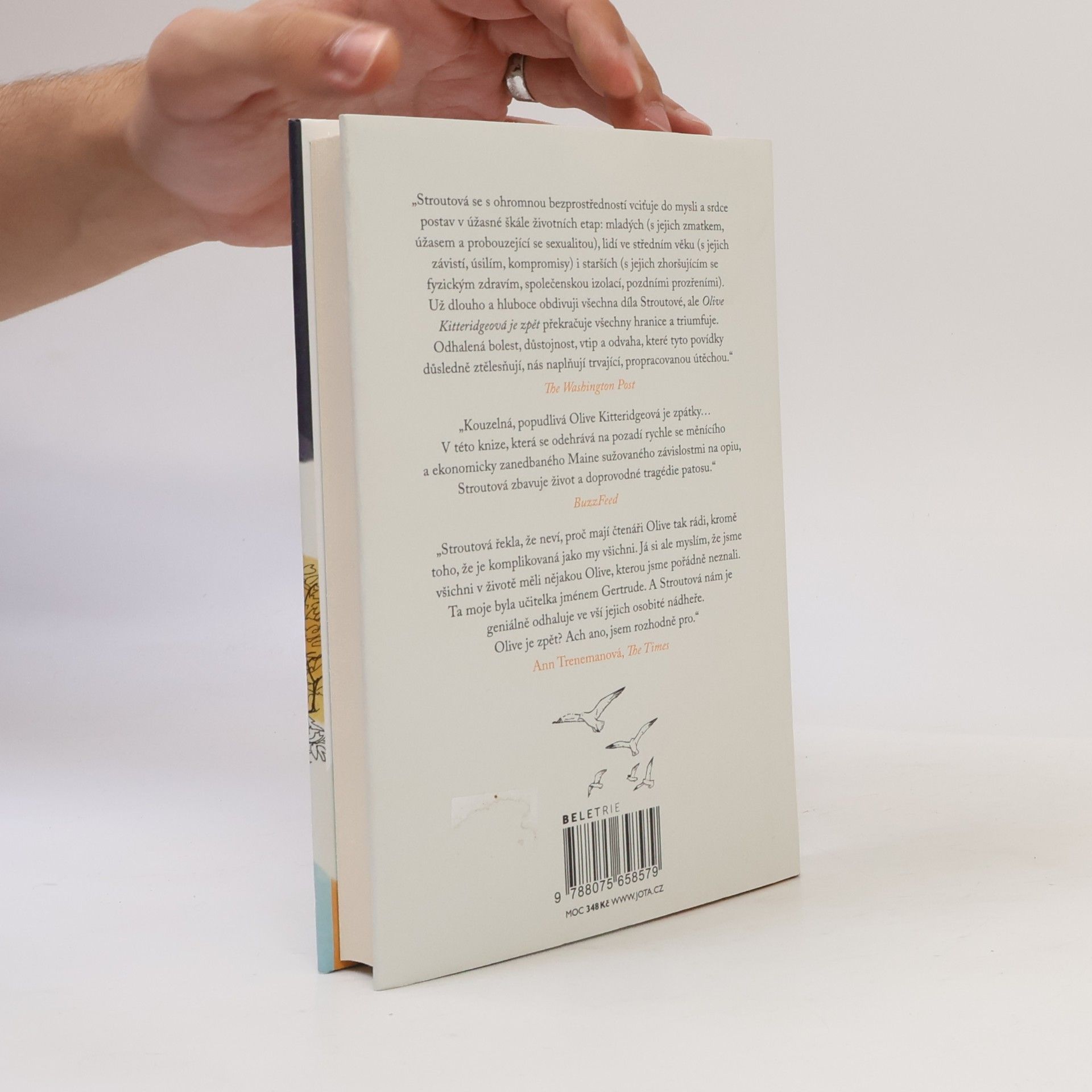 Elizabeth Strout Olive Kitteridgeová je zpět