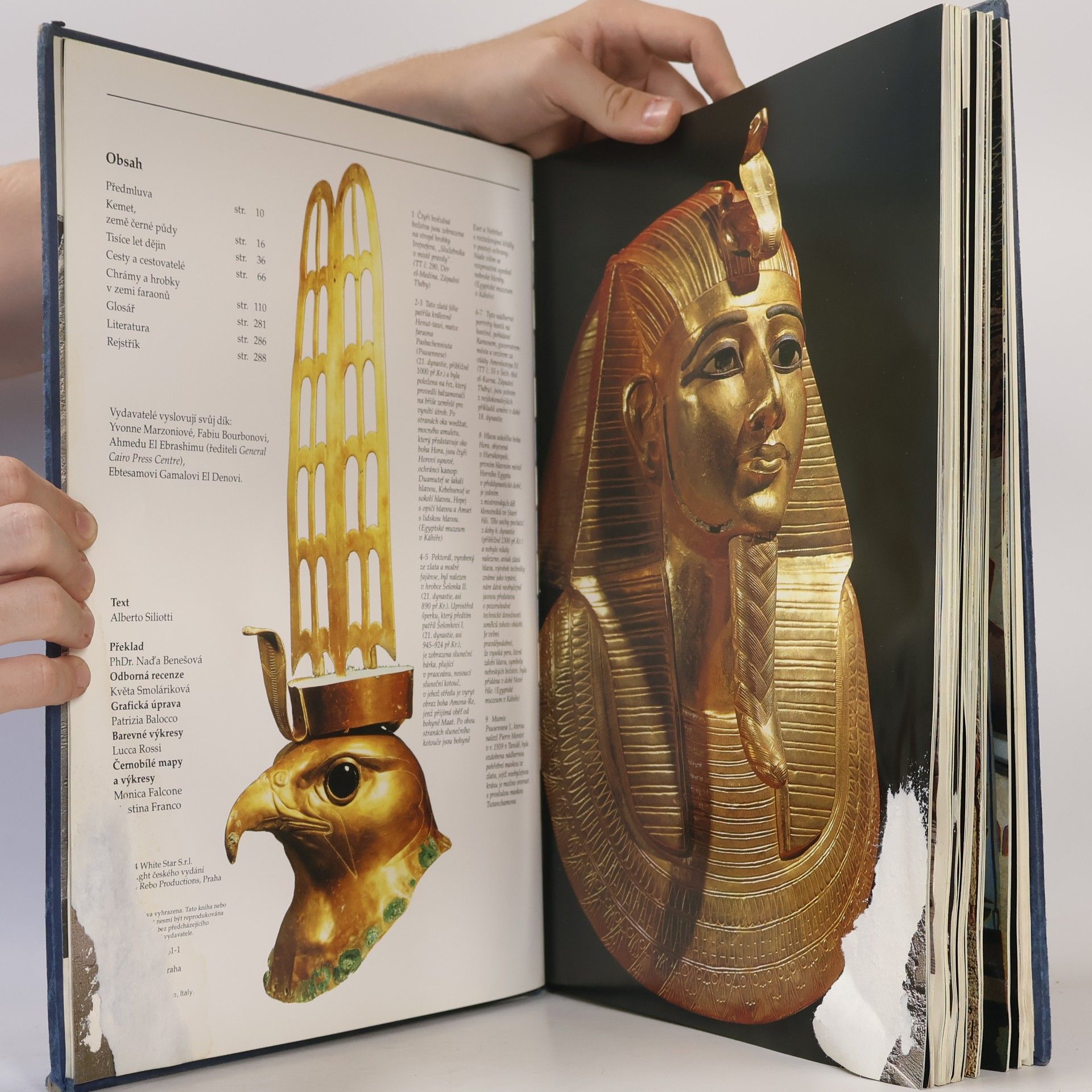 Alberto Siliotti Egypt. Chrámy, bohové a lidé