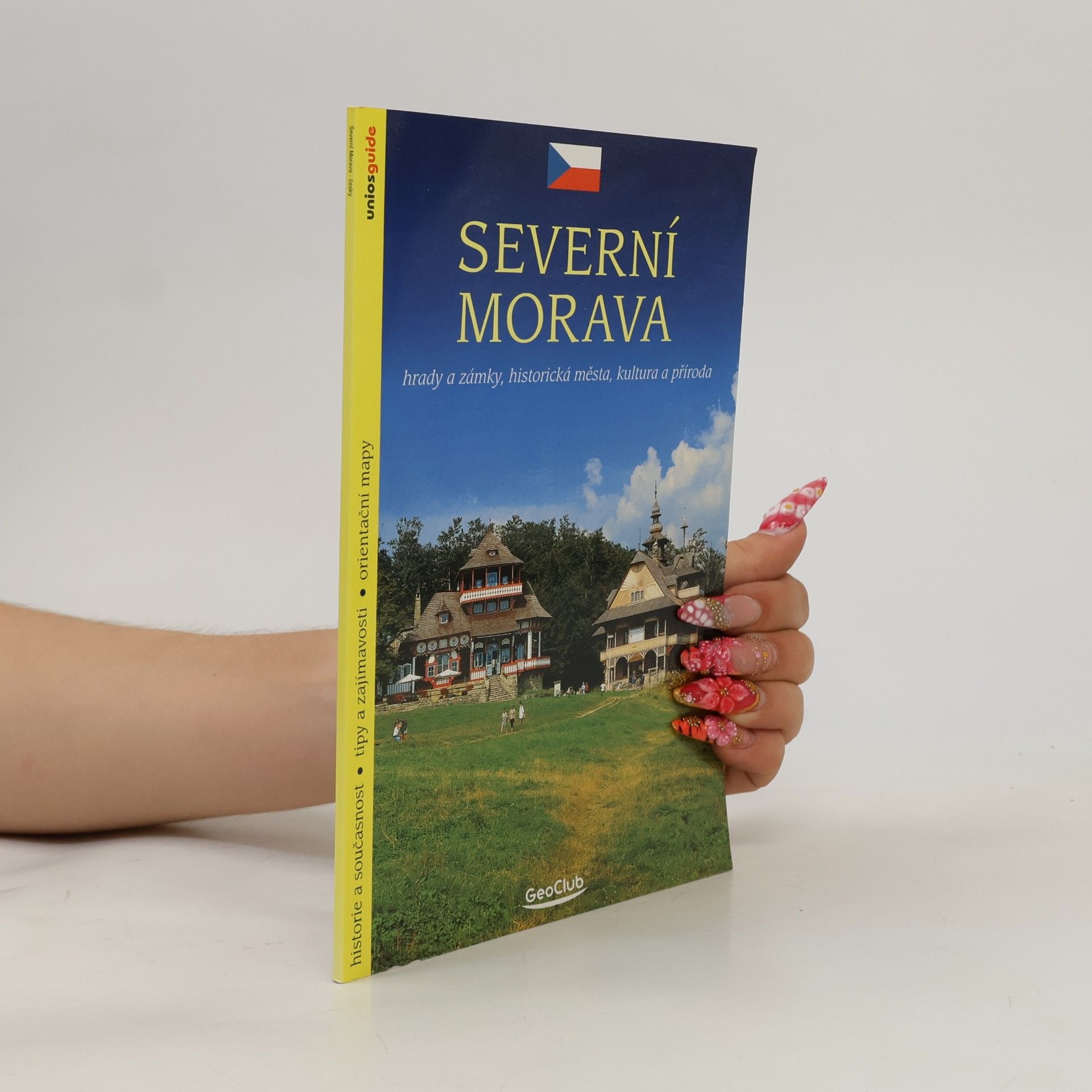 David Žák Severní Morava. Hrady a zámky, historická města, kultura a příroda
