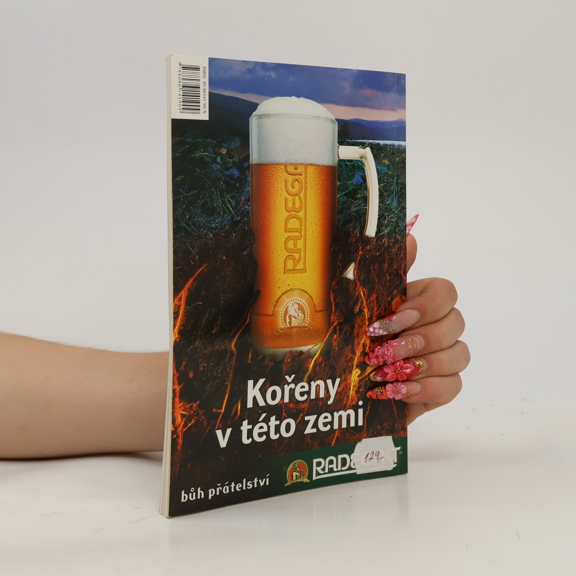 David Žák Severní Morava. Hrady a zámky, historická města, kultura a příroda