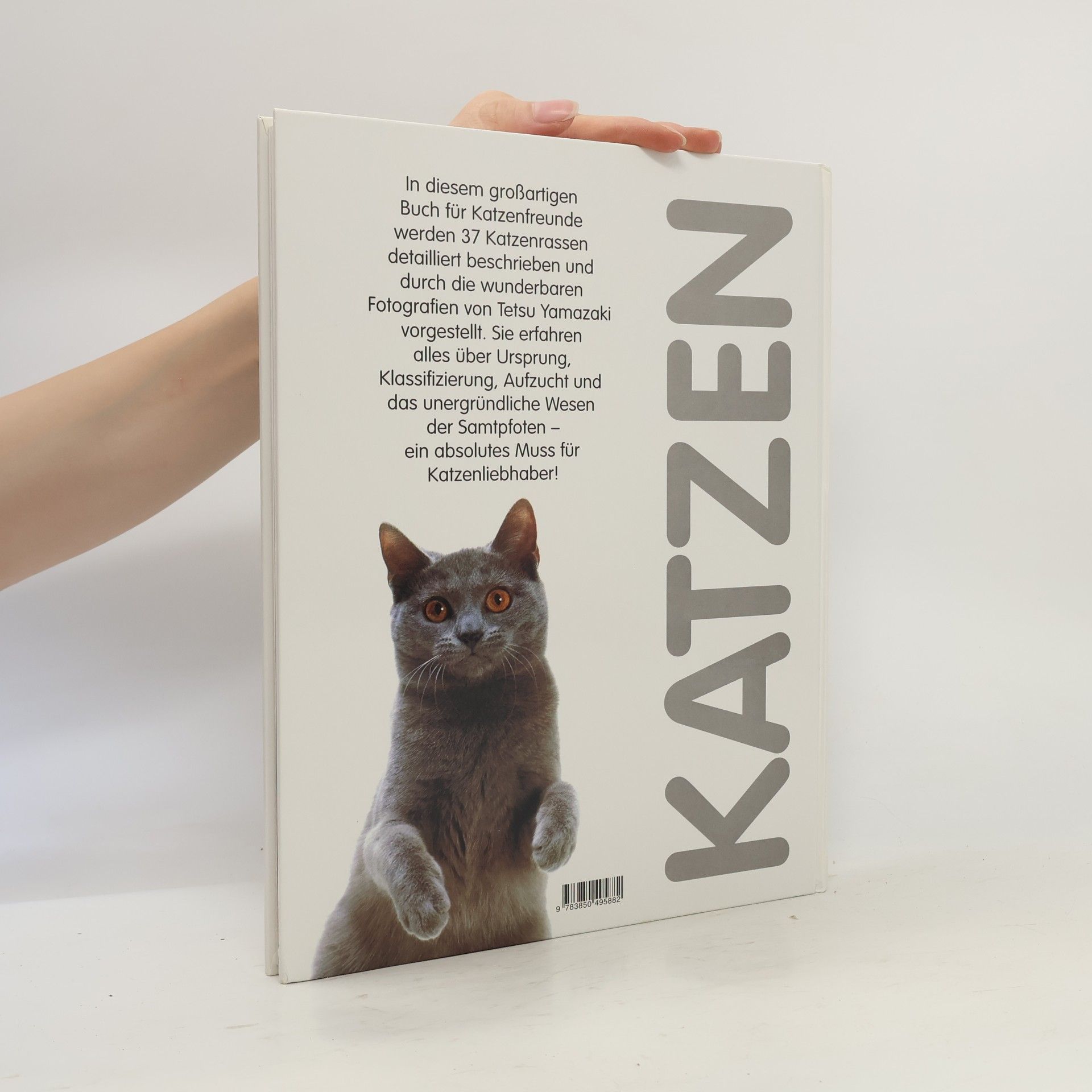 Gloria Stephens Katzen.