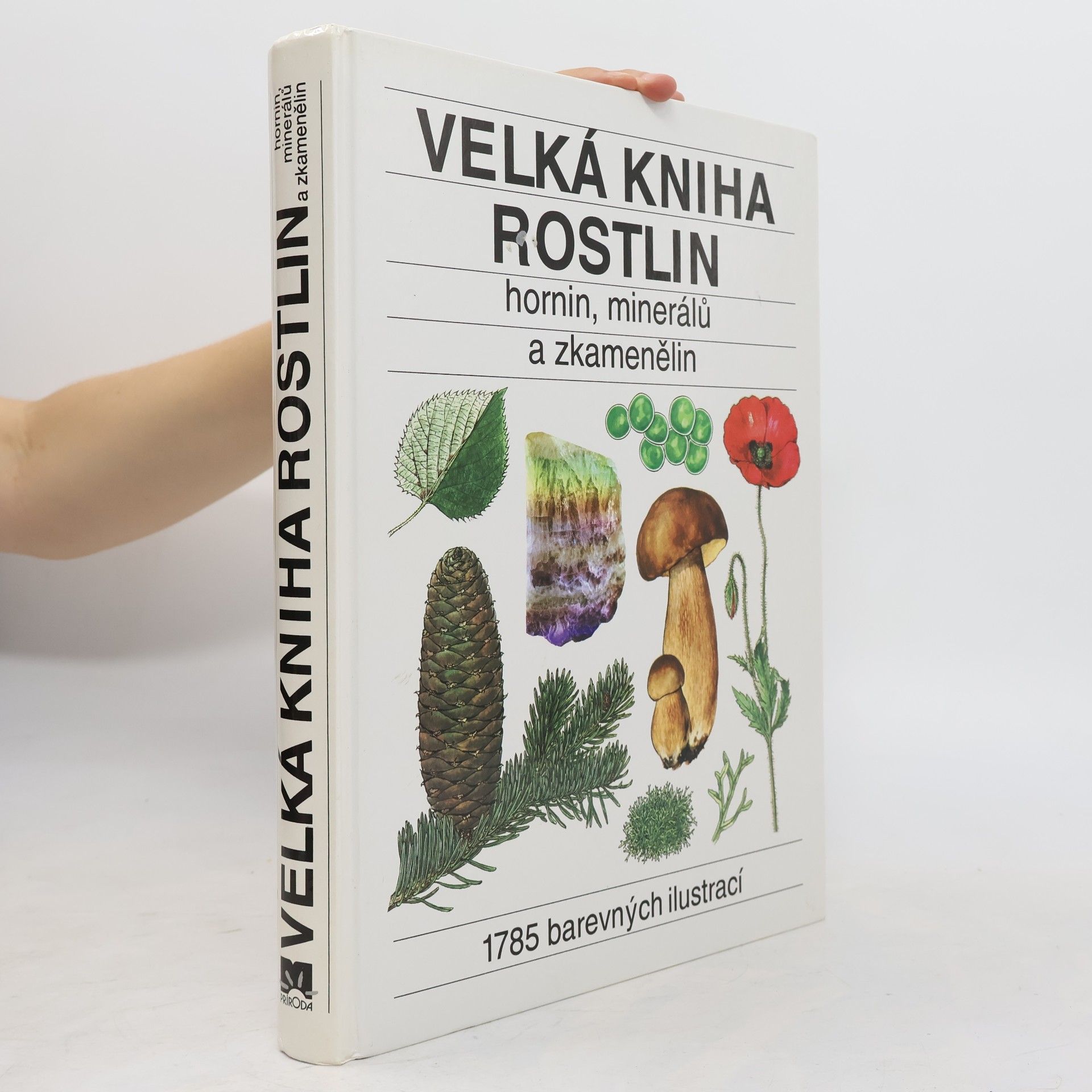 Jindřich Krejča Velká kniha rostlin, hornin, minerálů a zkamenělin