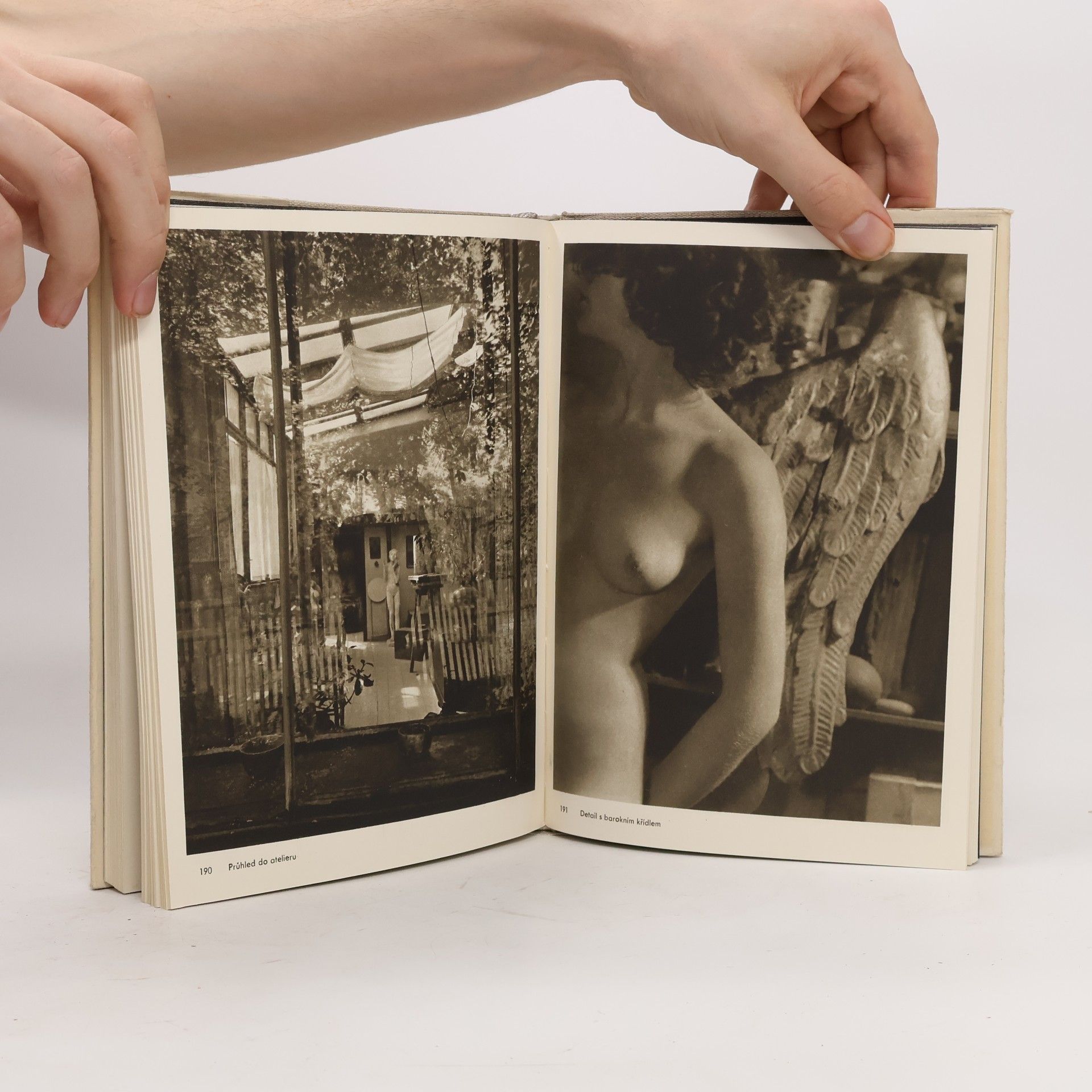Josef Sudek Josef Sudek. Fotografie