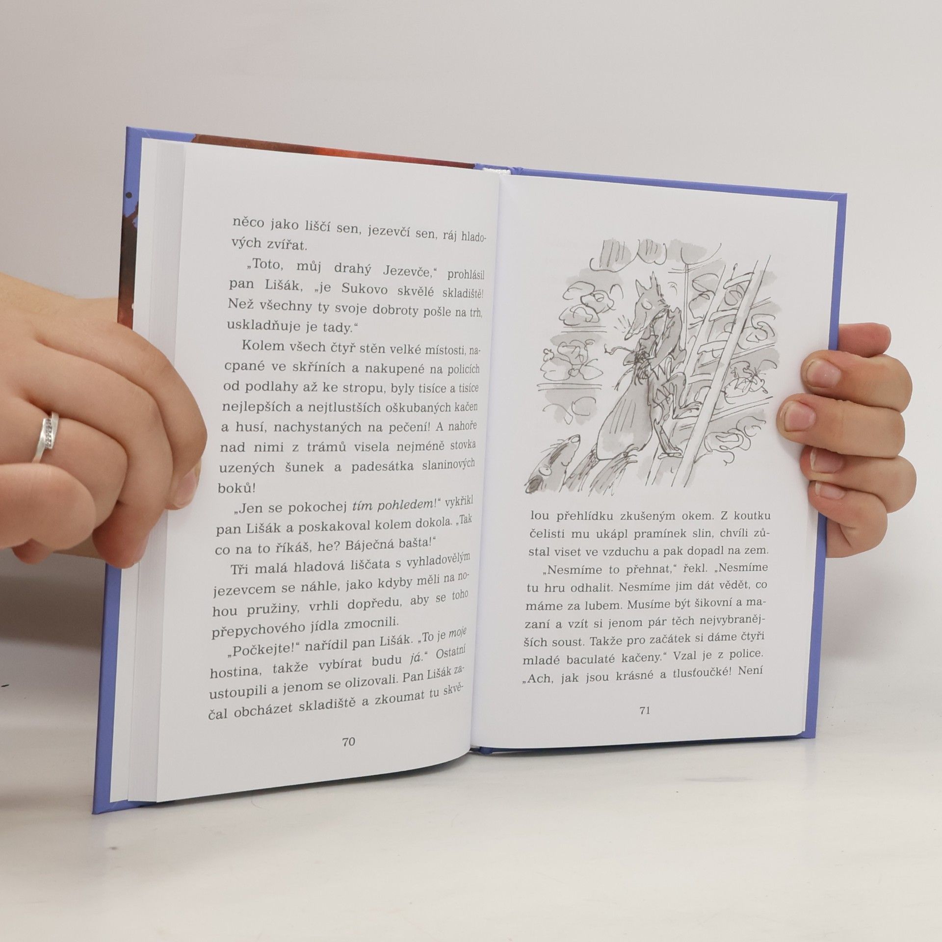Roald Dahl Fantastický pan Lišák