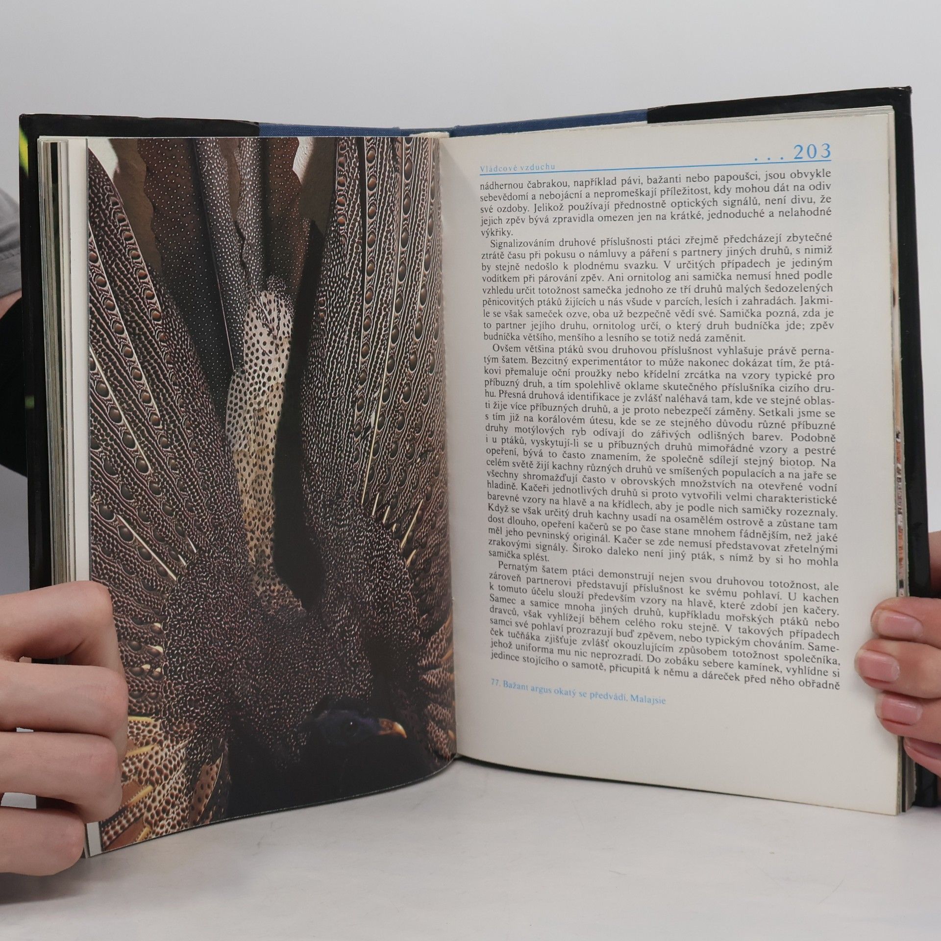 David Attenborough Život na Zemi