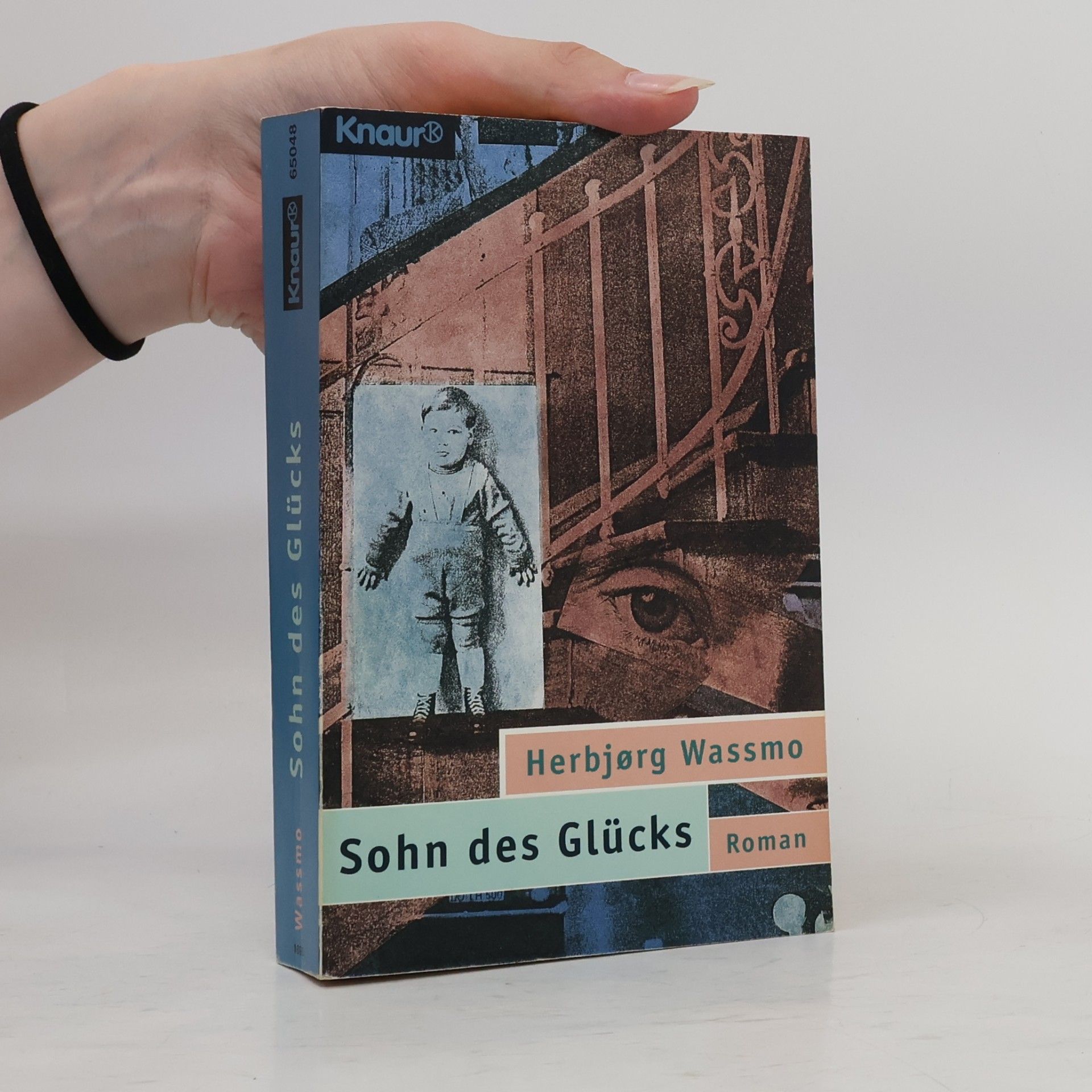 Herbjørg Wassmo Sohn des Glücks