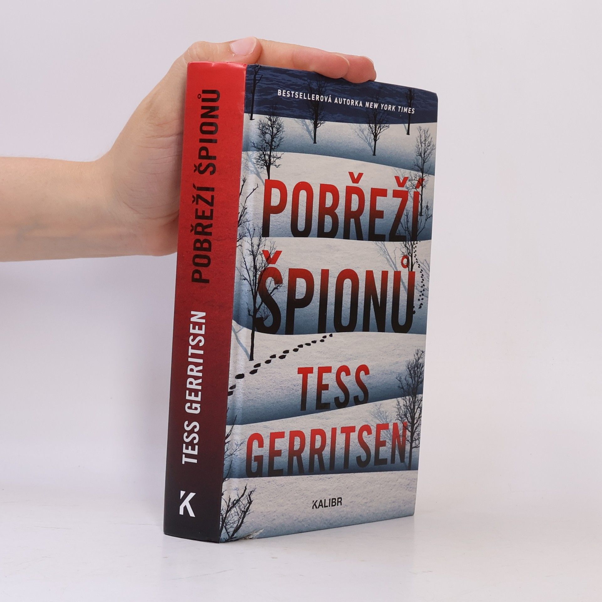 Tess Gerritsen Pobřeží špionů