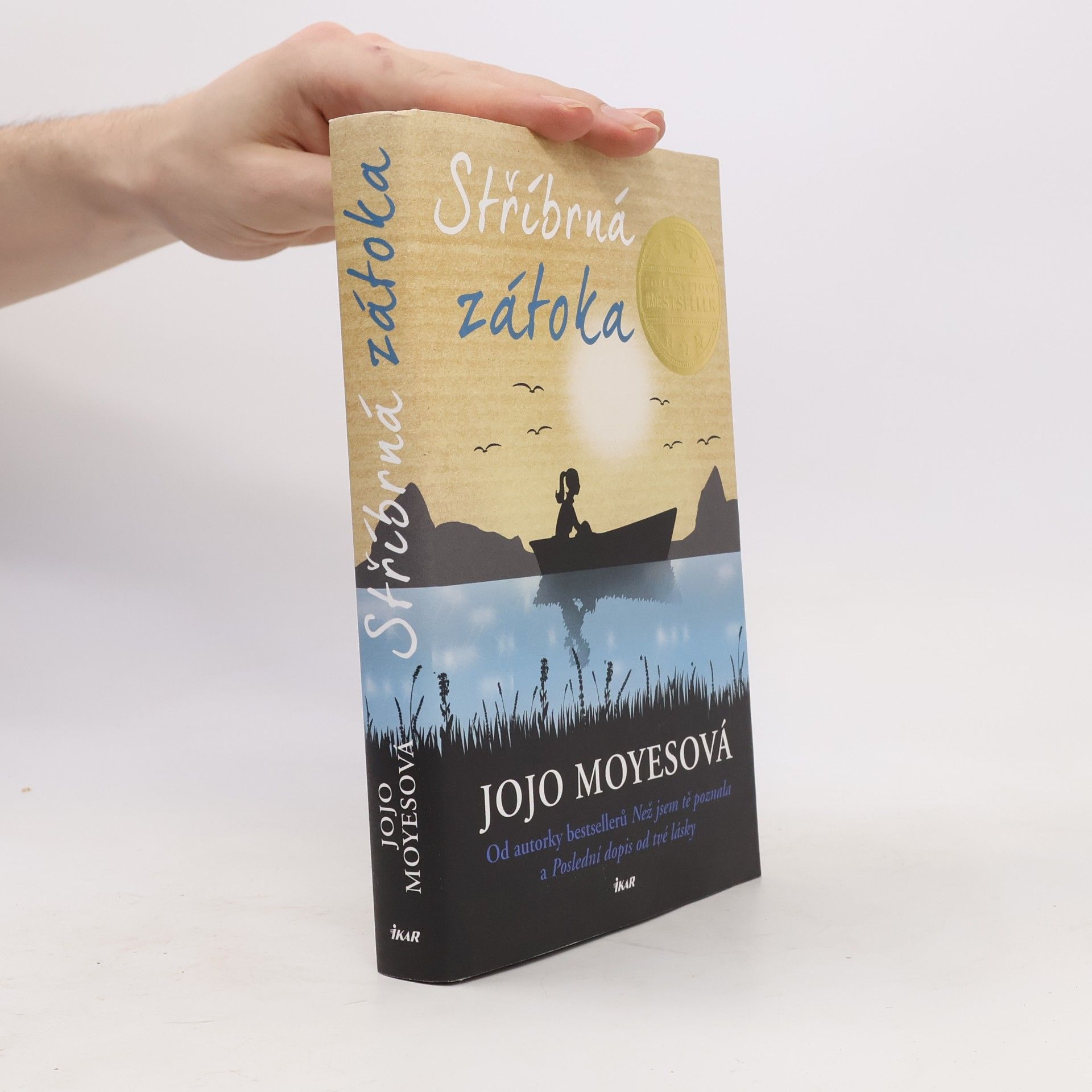 Jojo Moyes Stříbrná zátoka