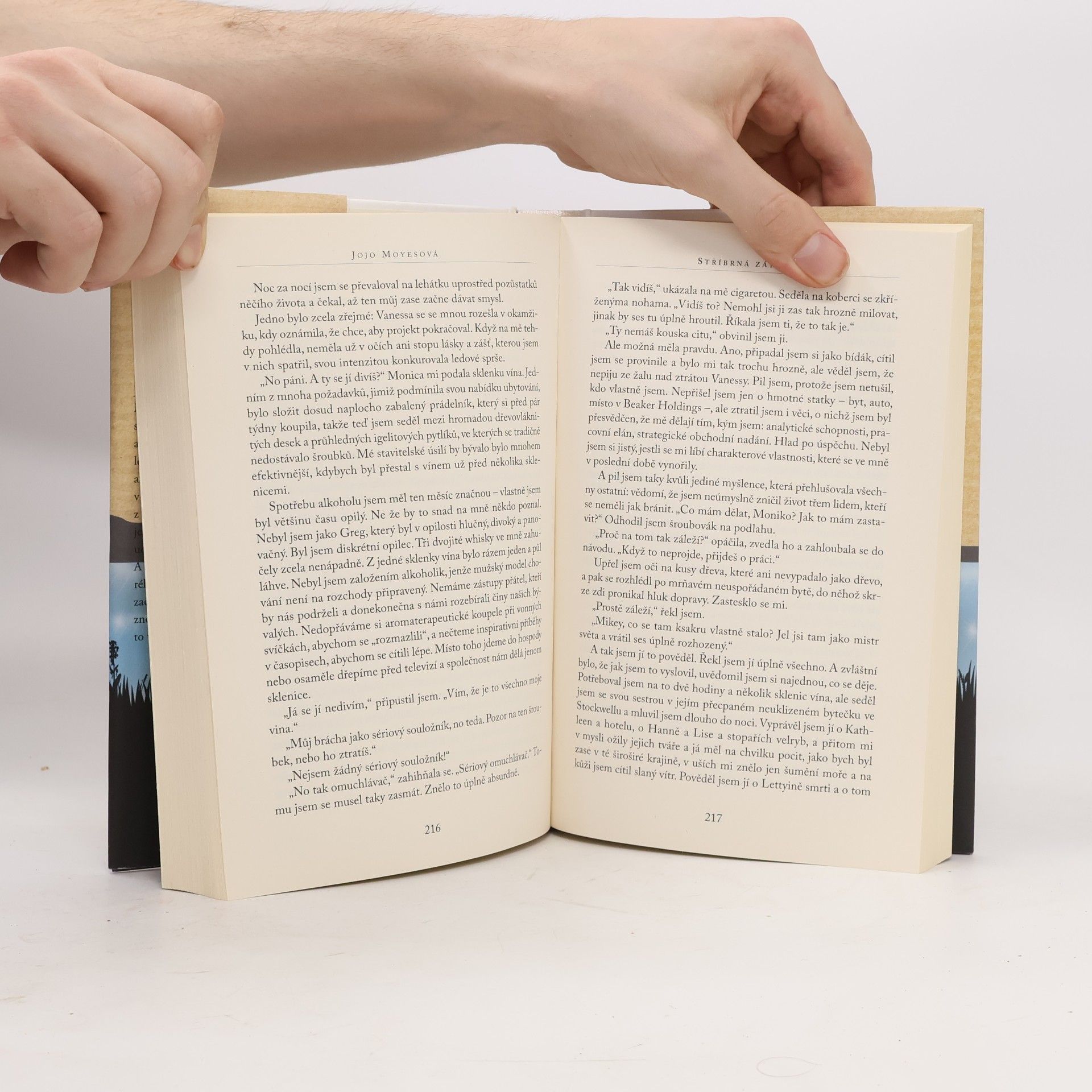Jojo Moyes Stříbrná zátoka