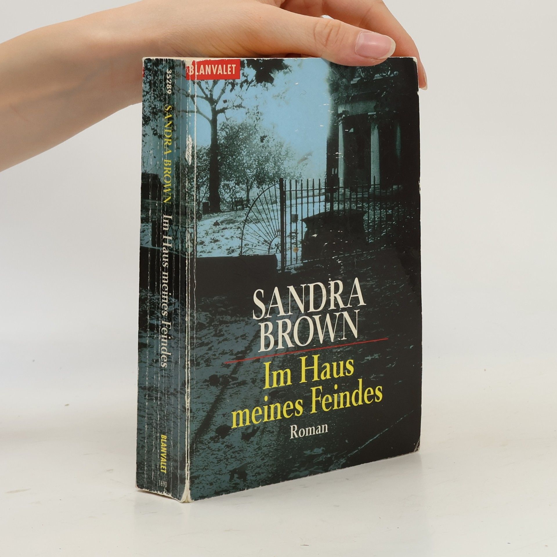 Sandra Brown Im Haus meines Feindes