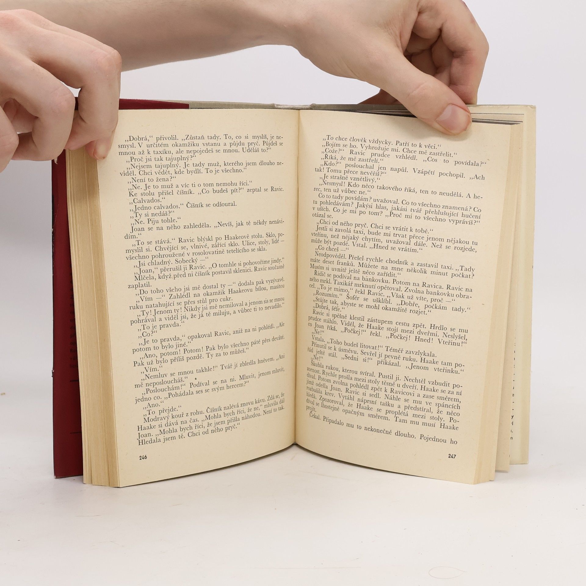 Erich Maria Remarque Vítězný oblouk