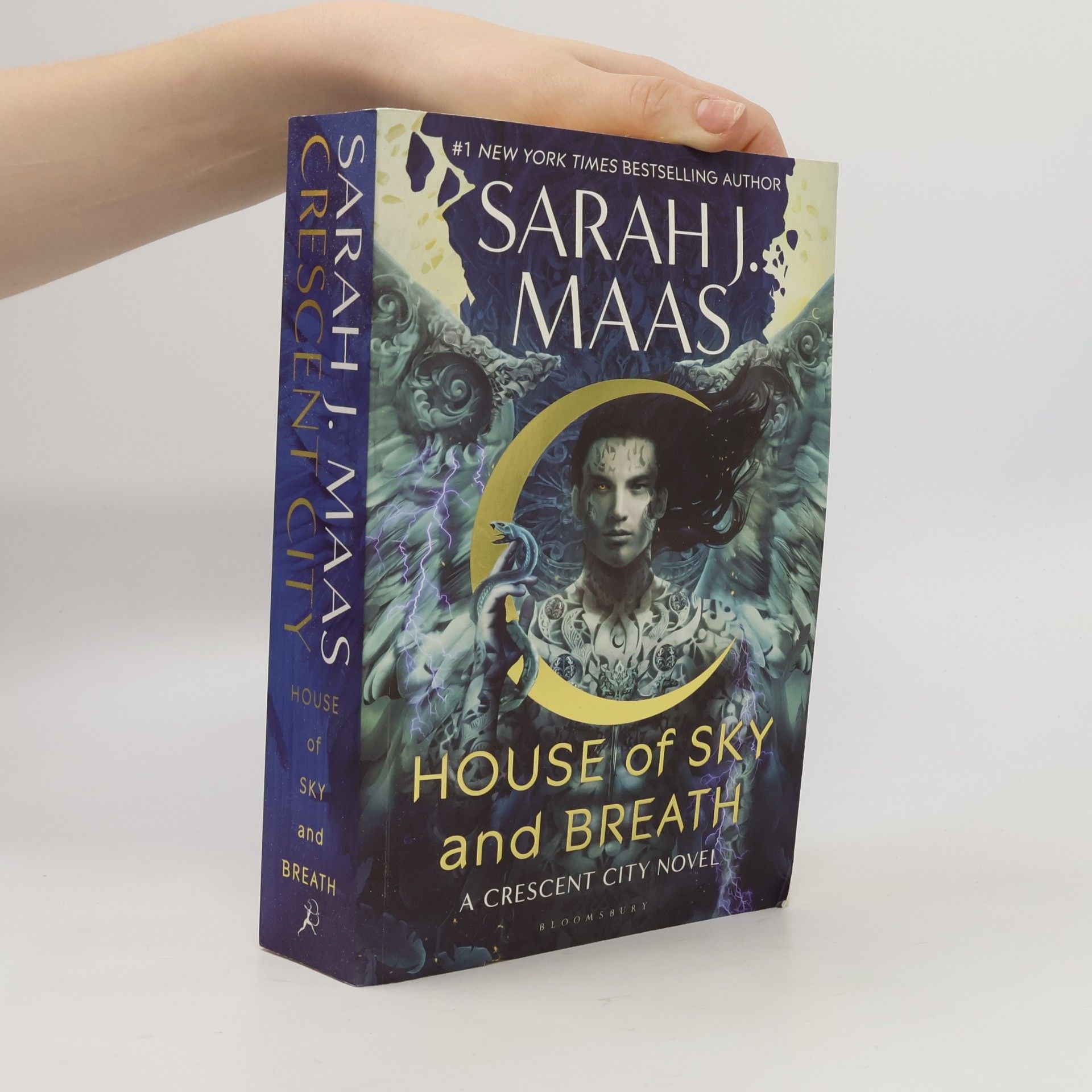 Sarah J. Maas House of sky and breath