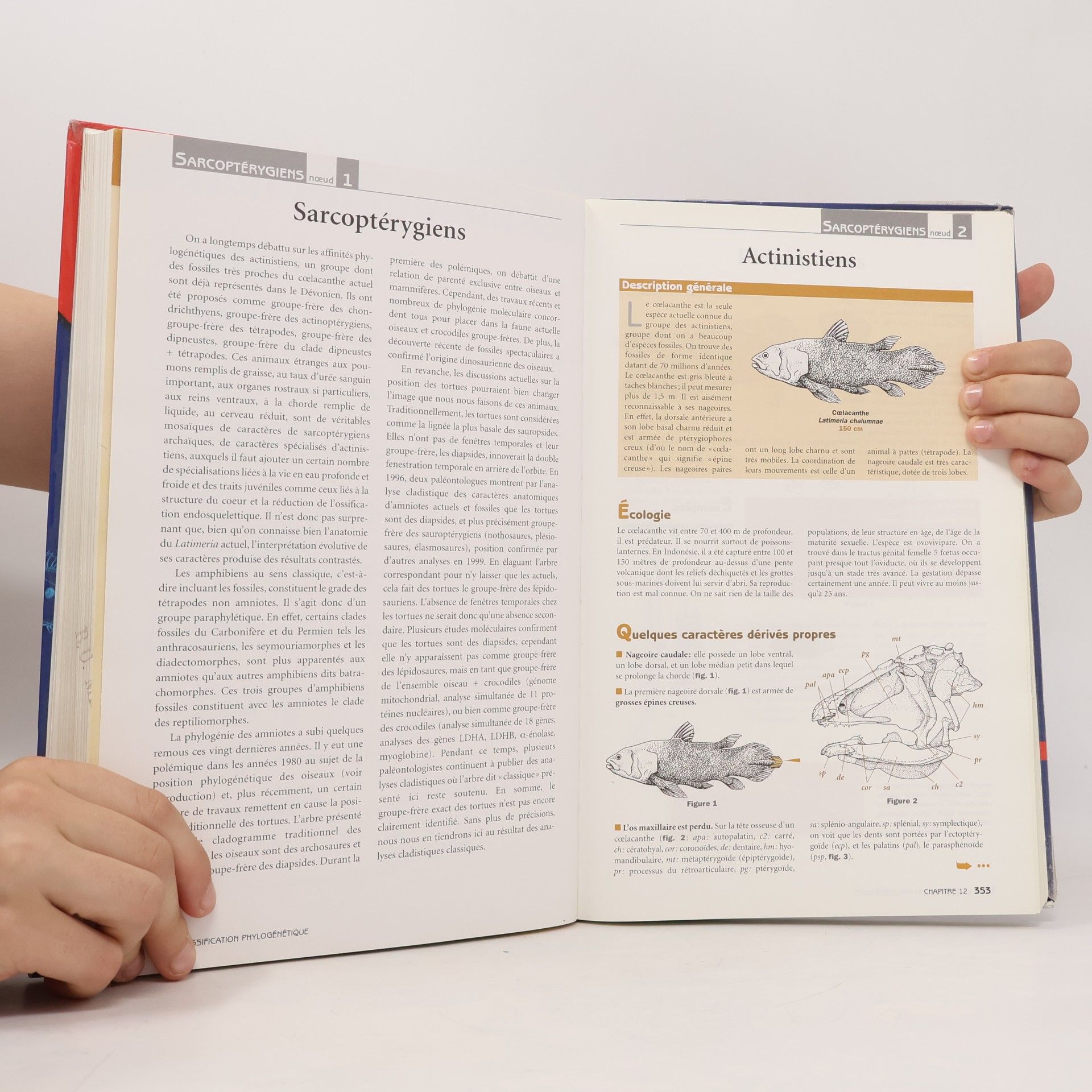 Guillaume Lecointre Classification phylogénétique du vivant