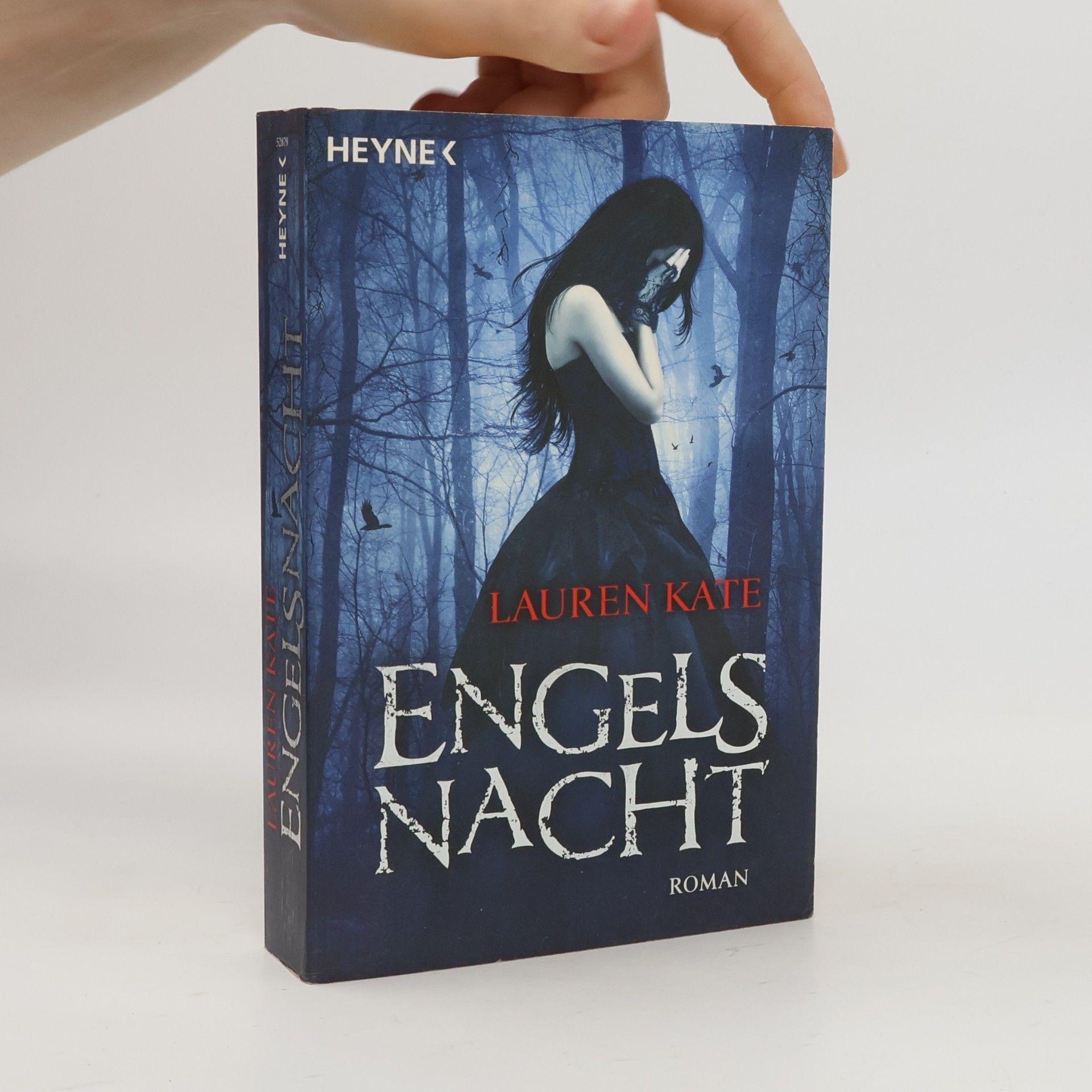 Lauren Kate Engels Nacht