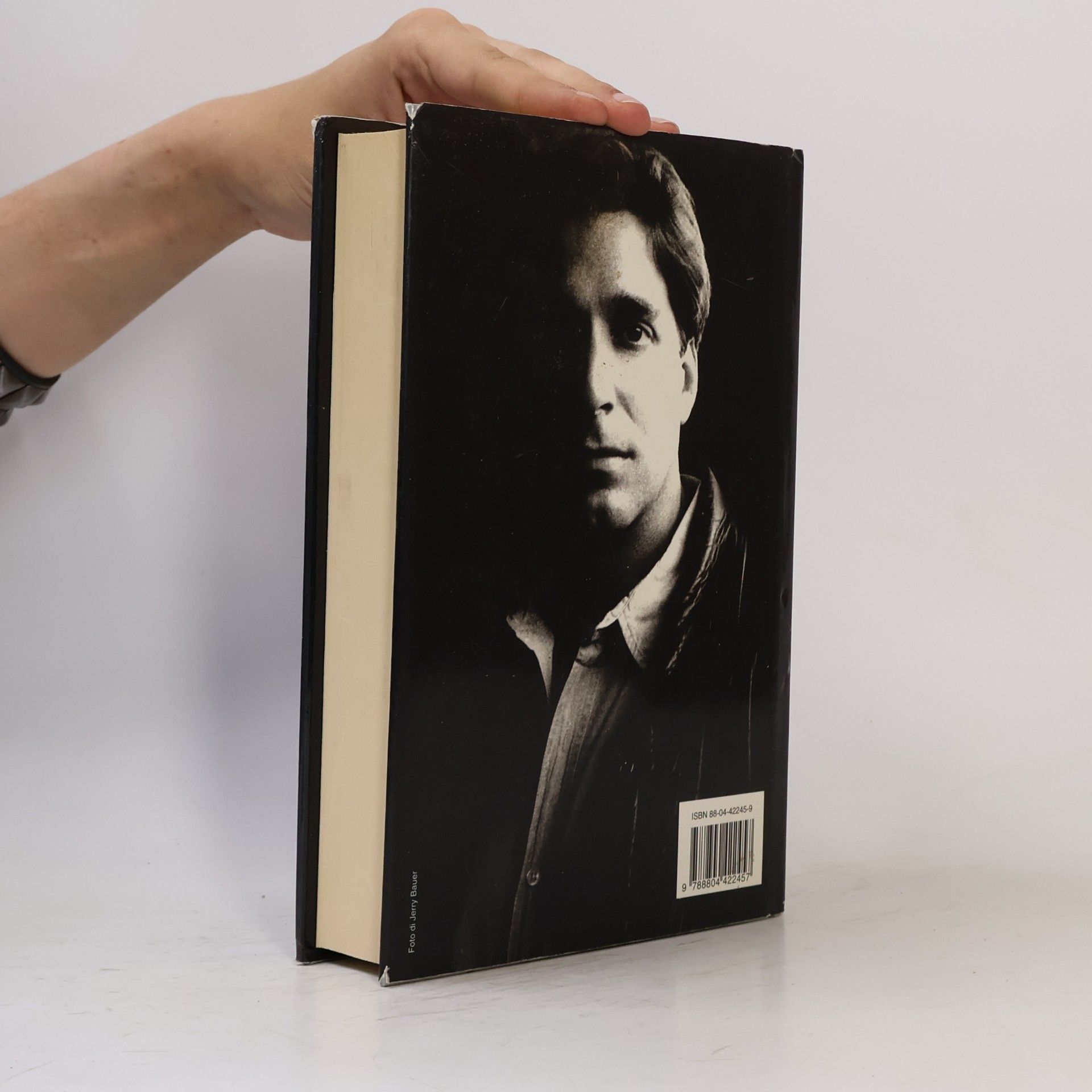 Peter Blauner L'intruso
