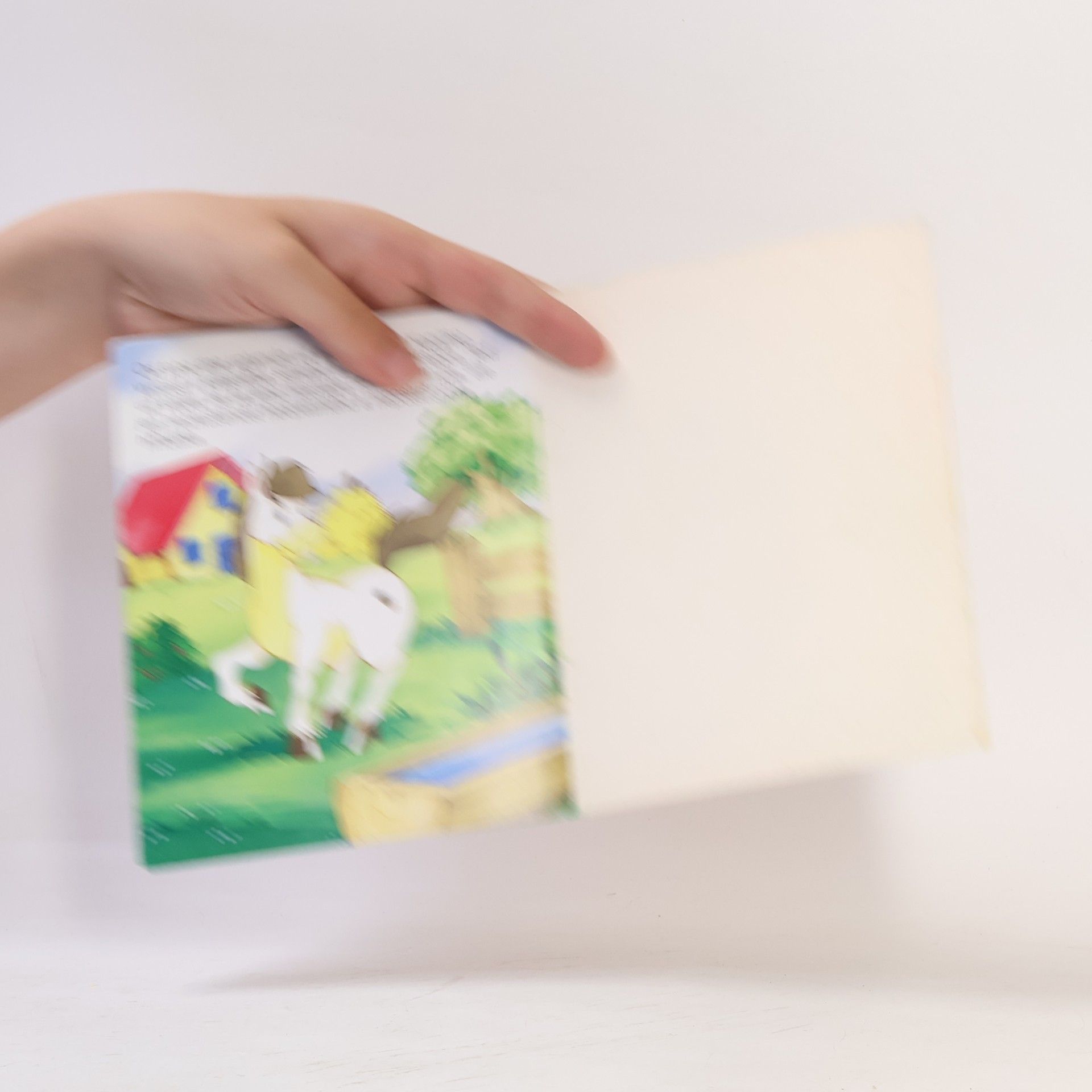 Kolektív autorov Kopýtko hříbátko smolař
