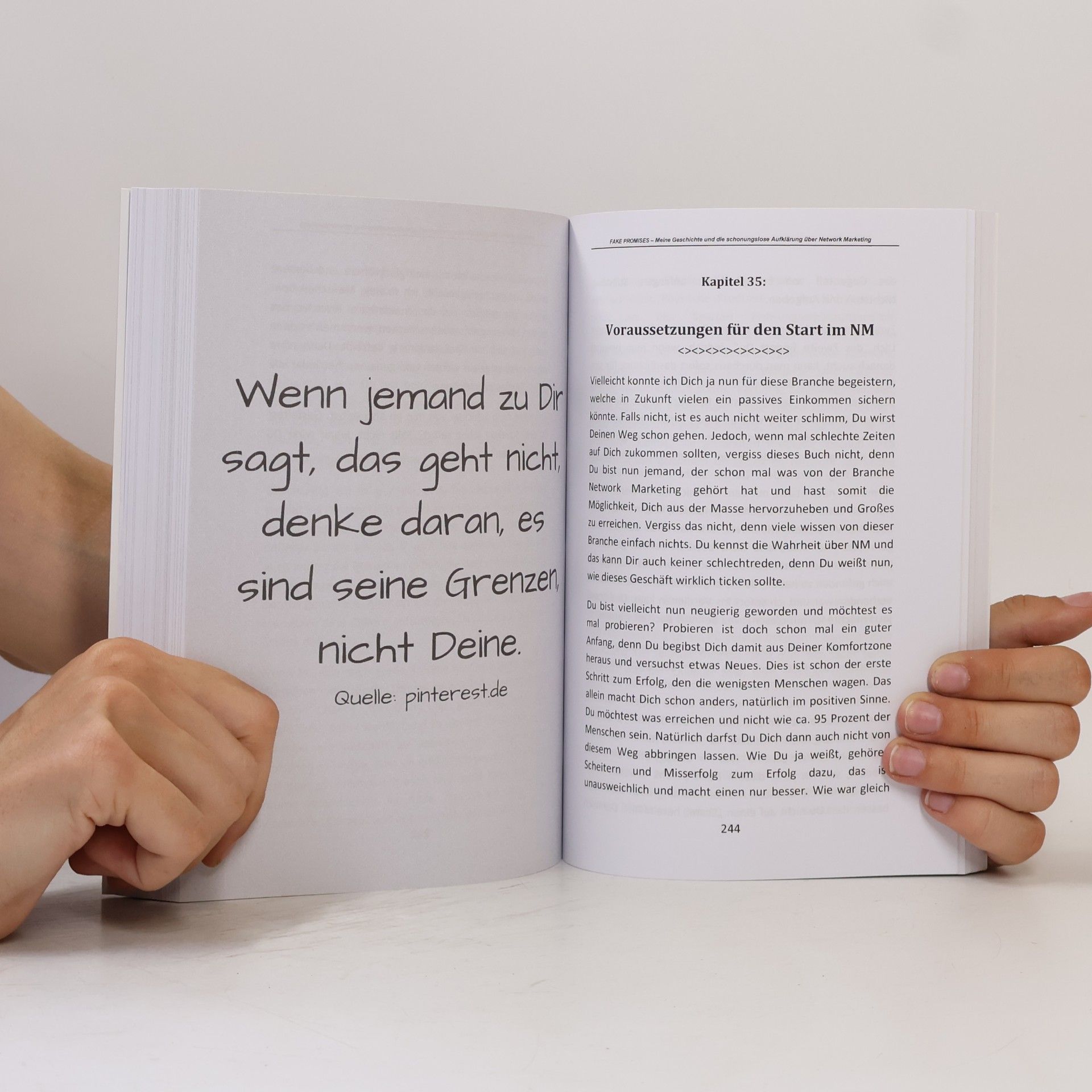Johannes Strauß Fake Promises