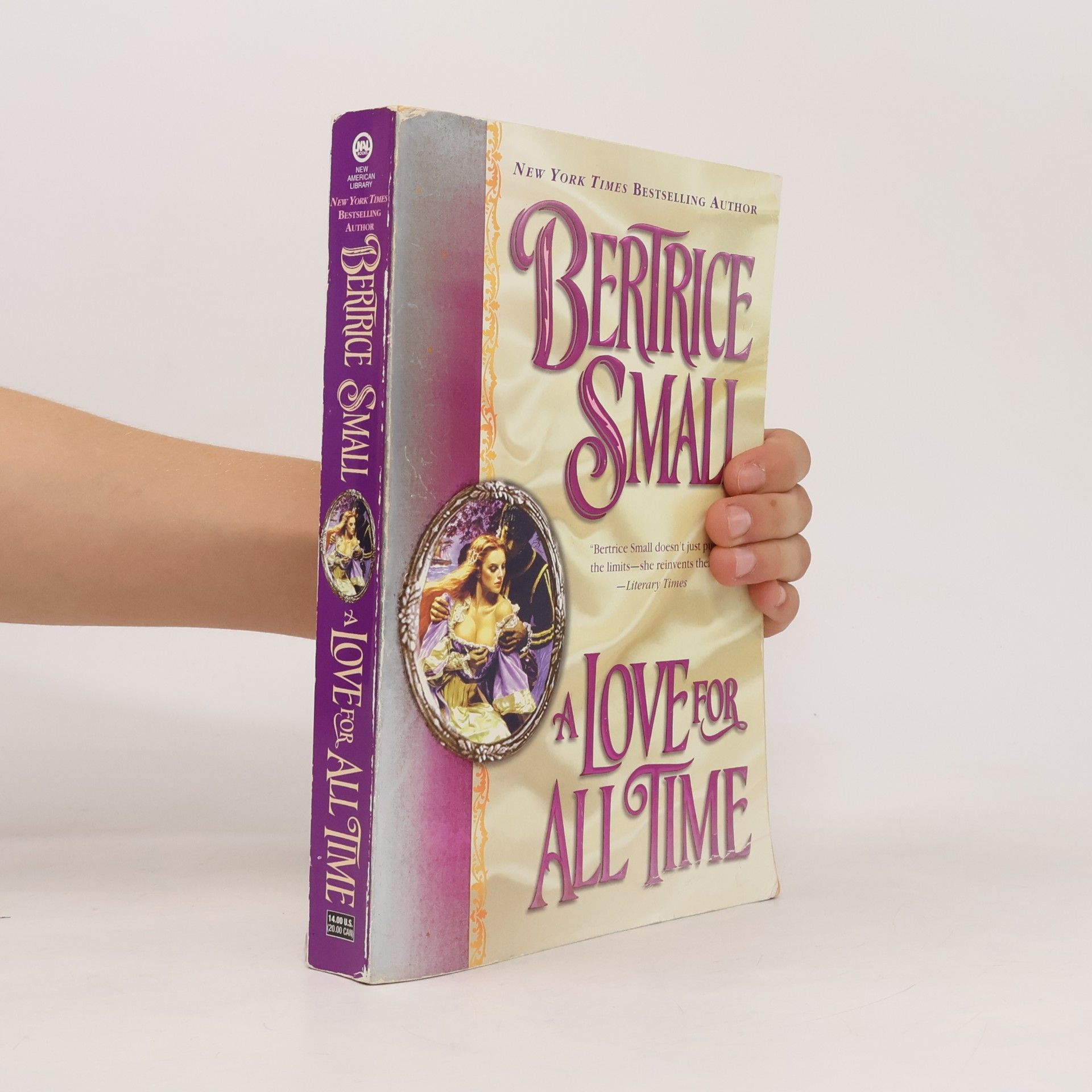 Bertrice Small A Love for All Time