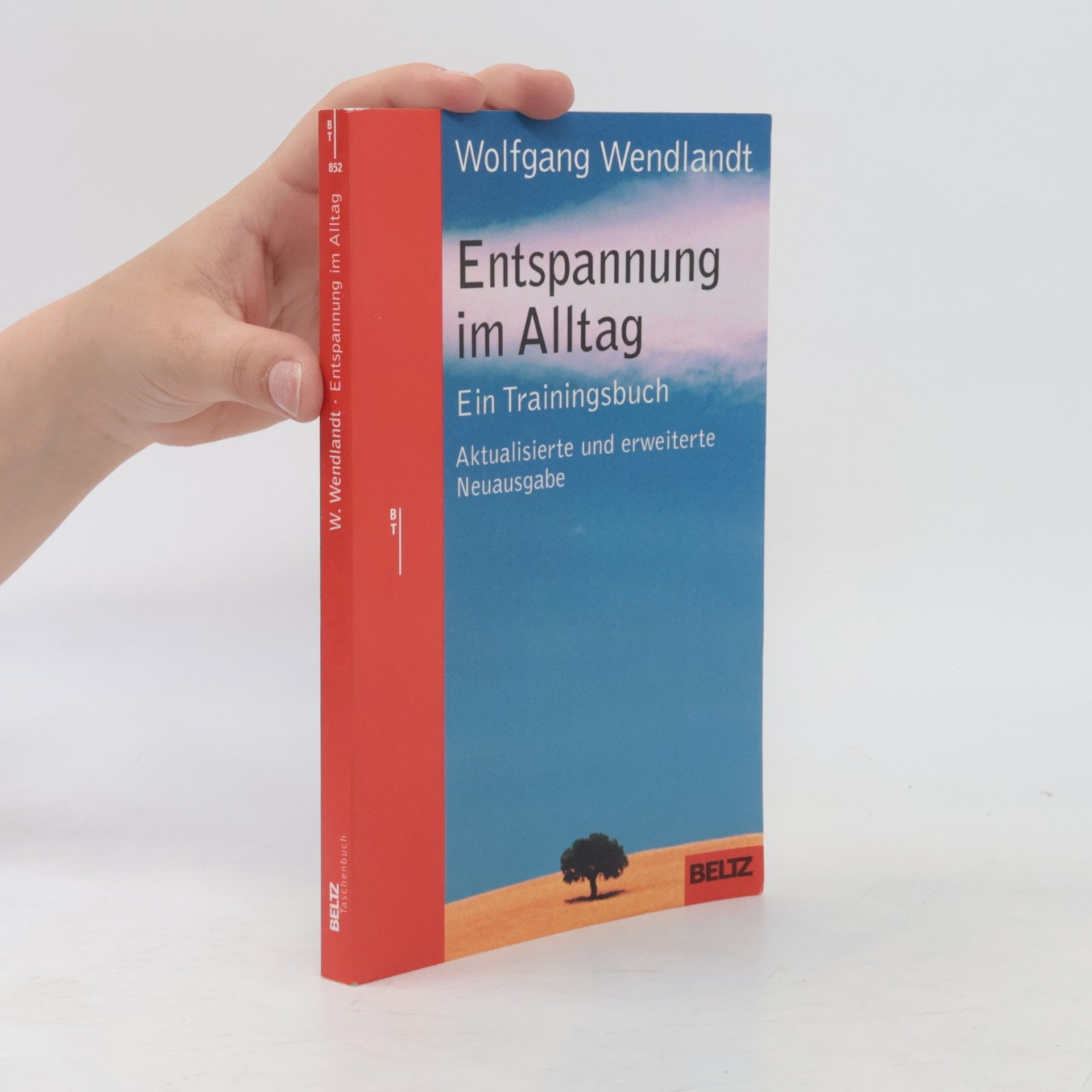 Wolfgang Wendlandt Beltz Taschenbuch - 852: Entspannung im Alltag
