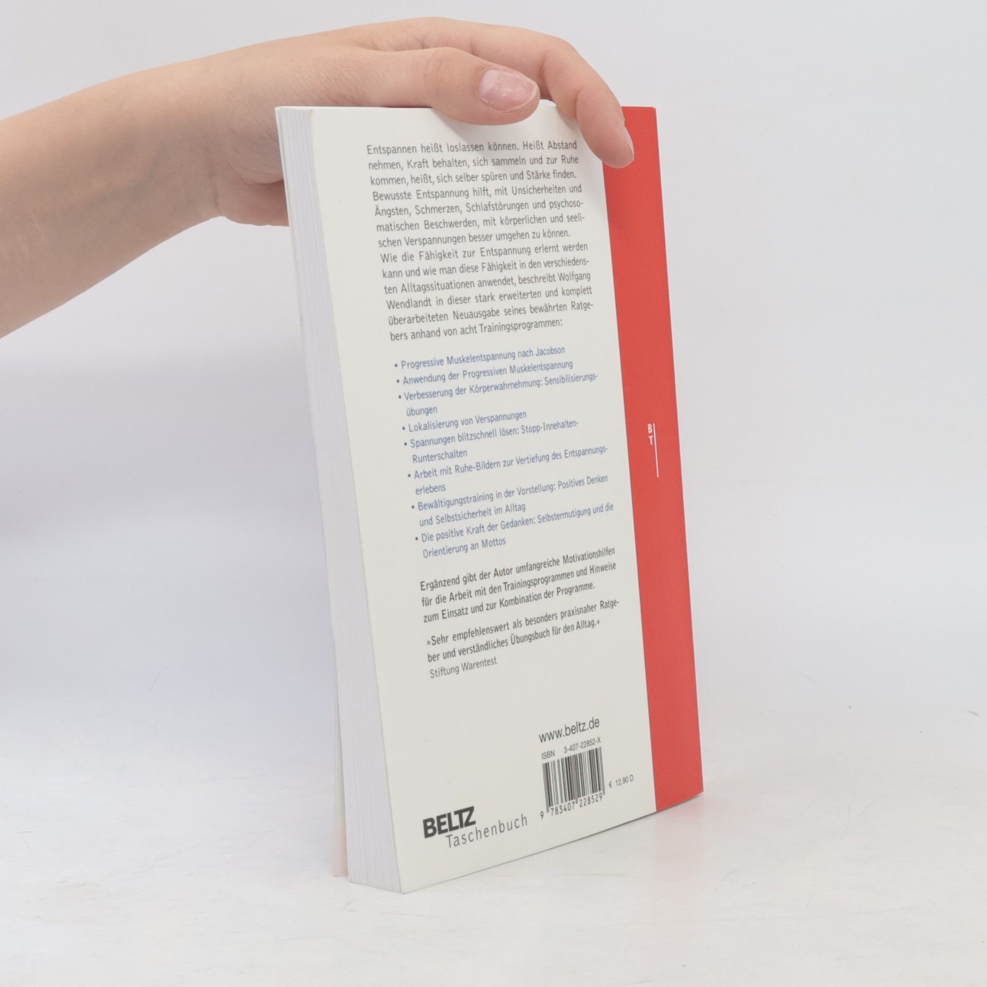 Wolfgang Wendlandt Beltz Taschenbuch - 852: Entspannung im Alltag