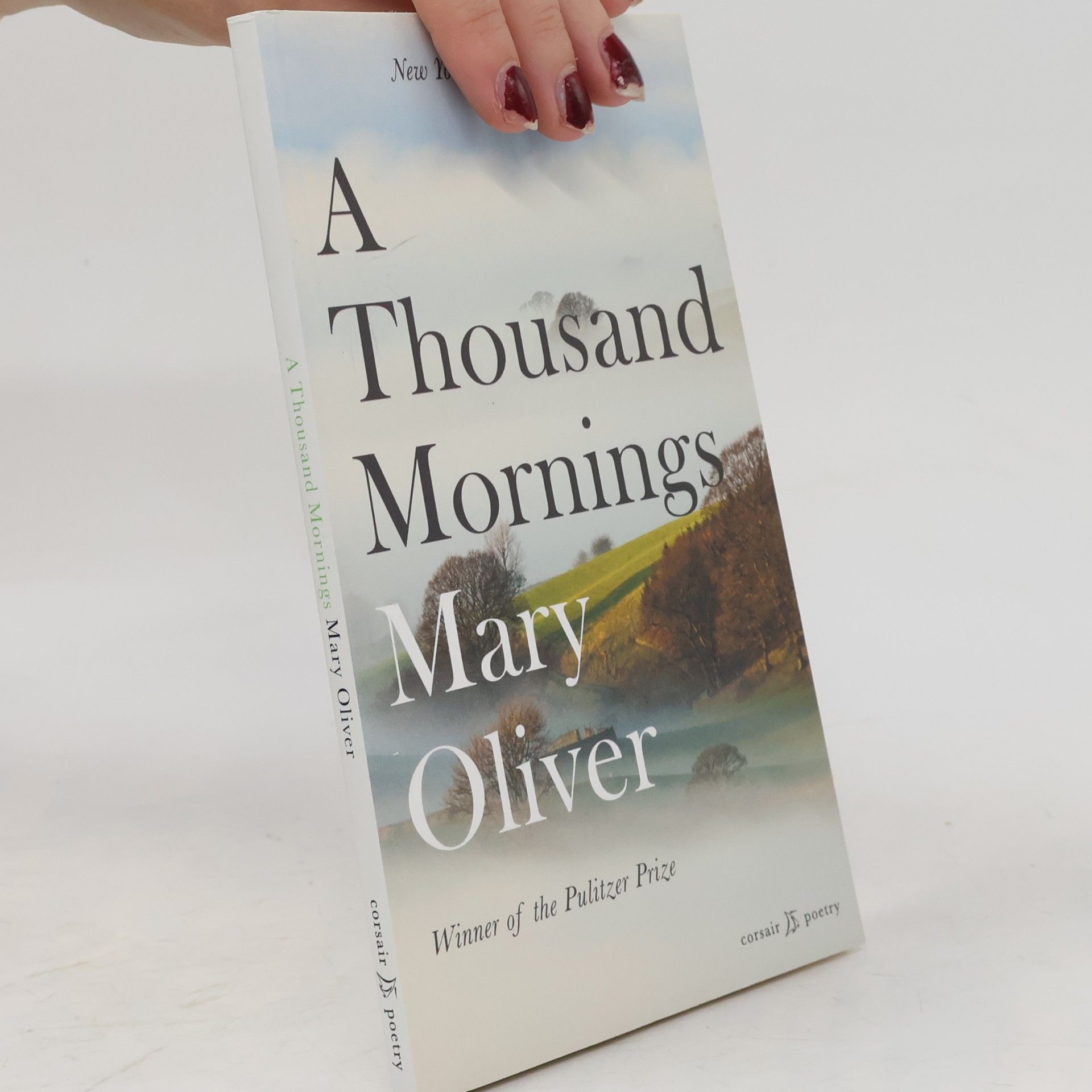 Mary Oliver A Thousand Mornings