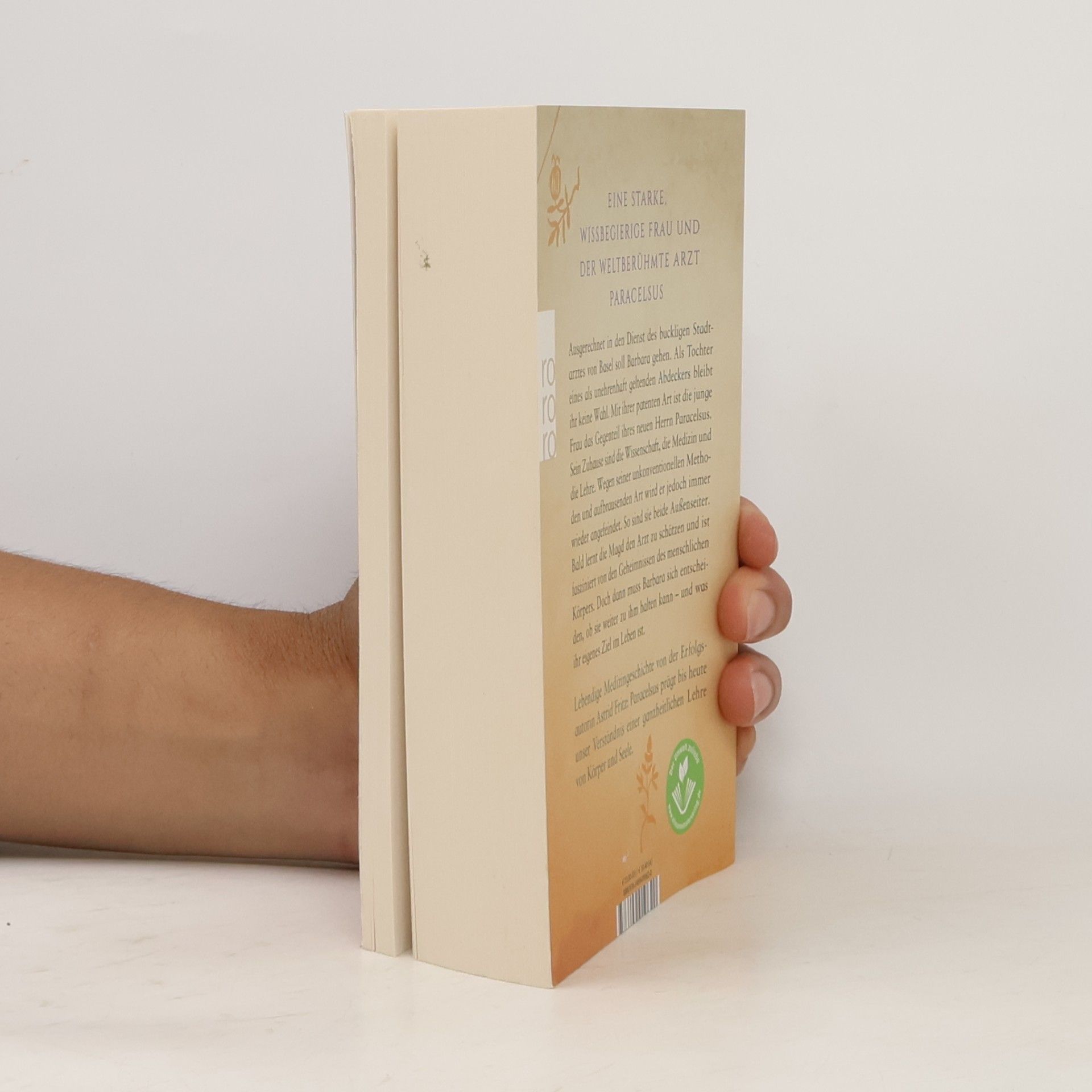 Astrid Fritz Die Magd des Medicus
