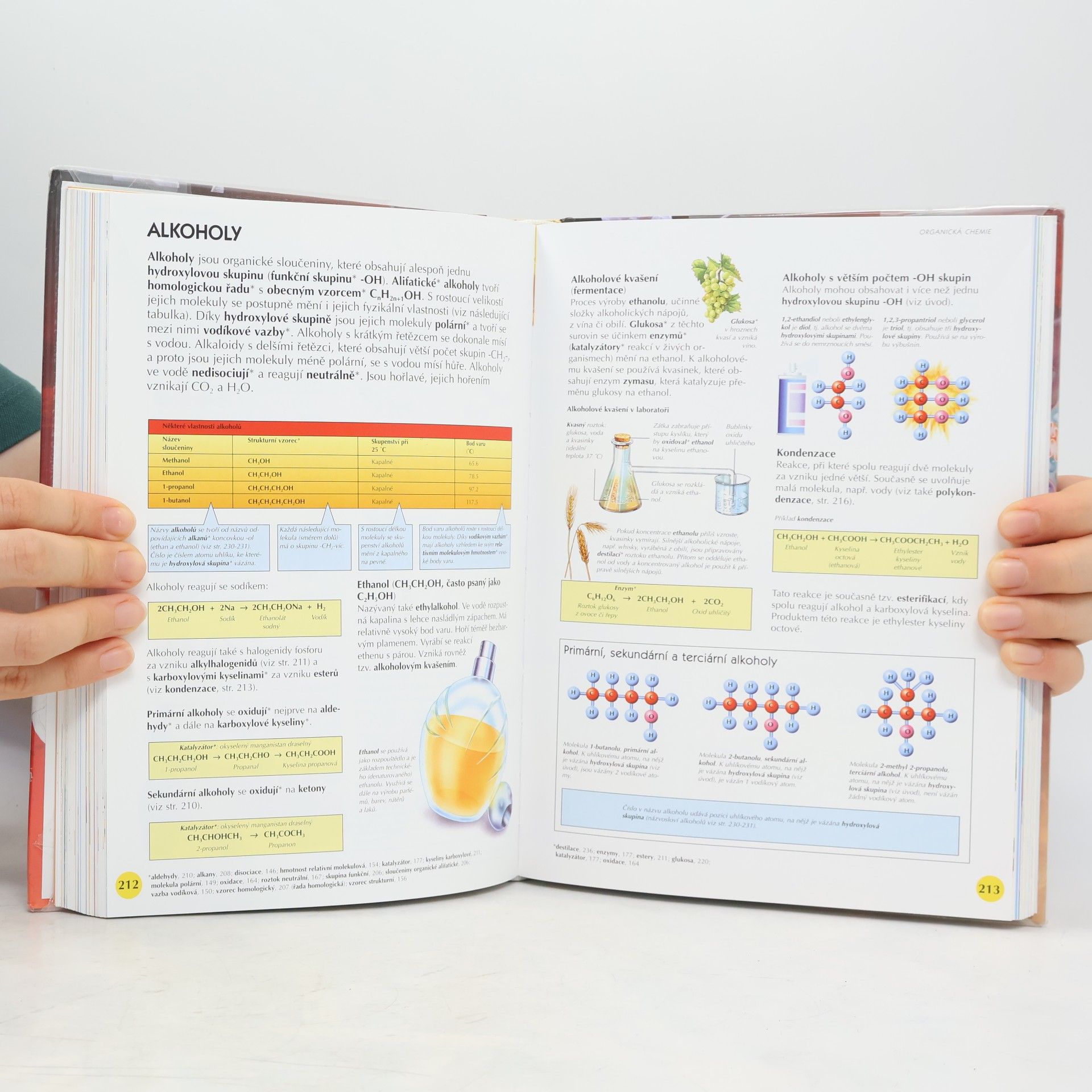 Corinne Stockley Velká encyklopedie vědy. Fyzika. Chemie. Biologie