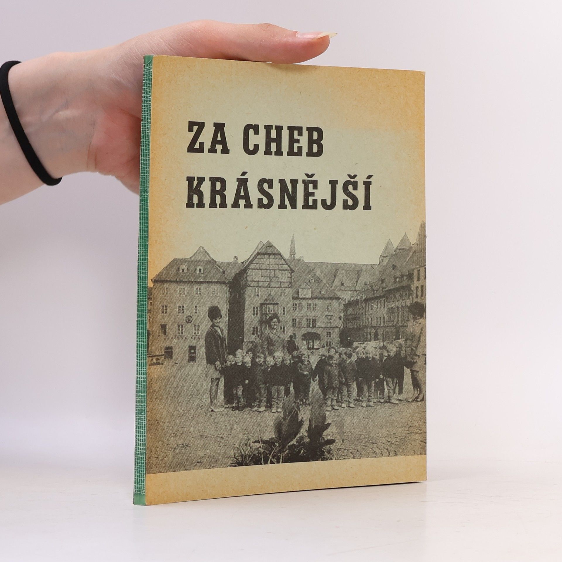 Kolektív autorov Za Cheb krásnější