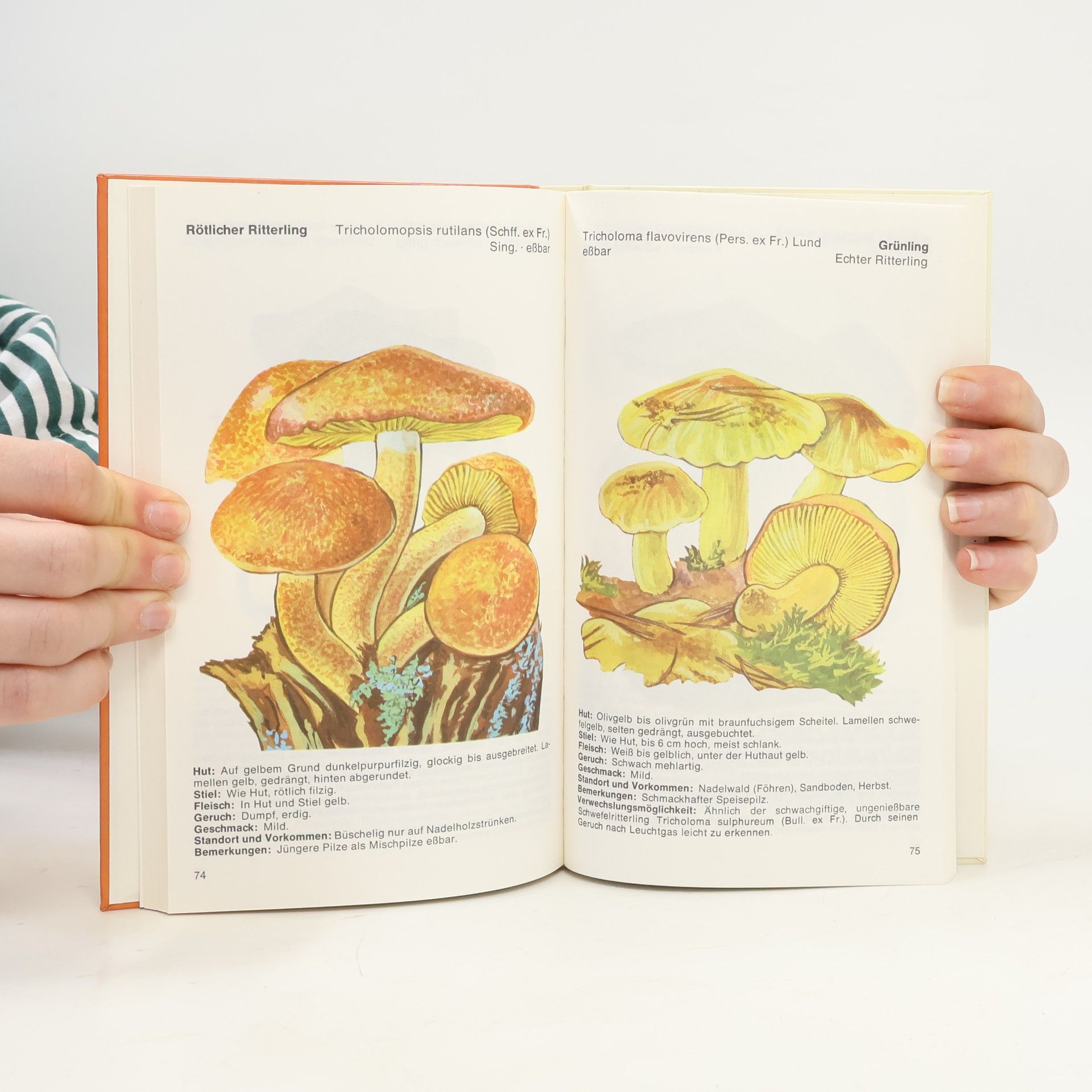 Karl Kronberger Das farbige Pilzbuch