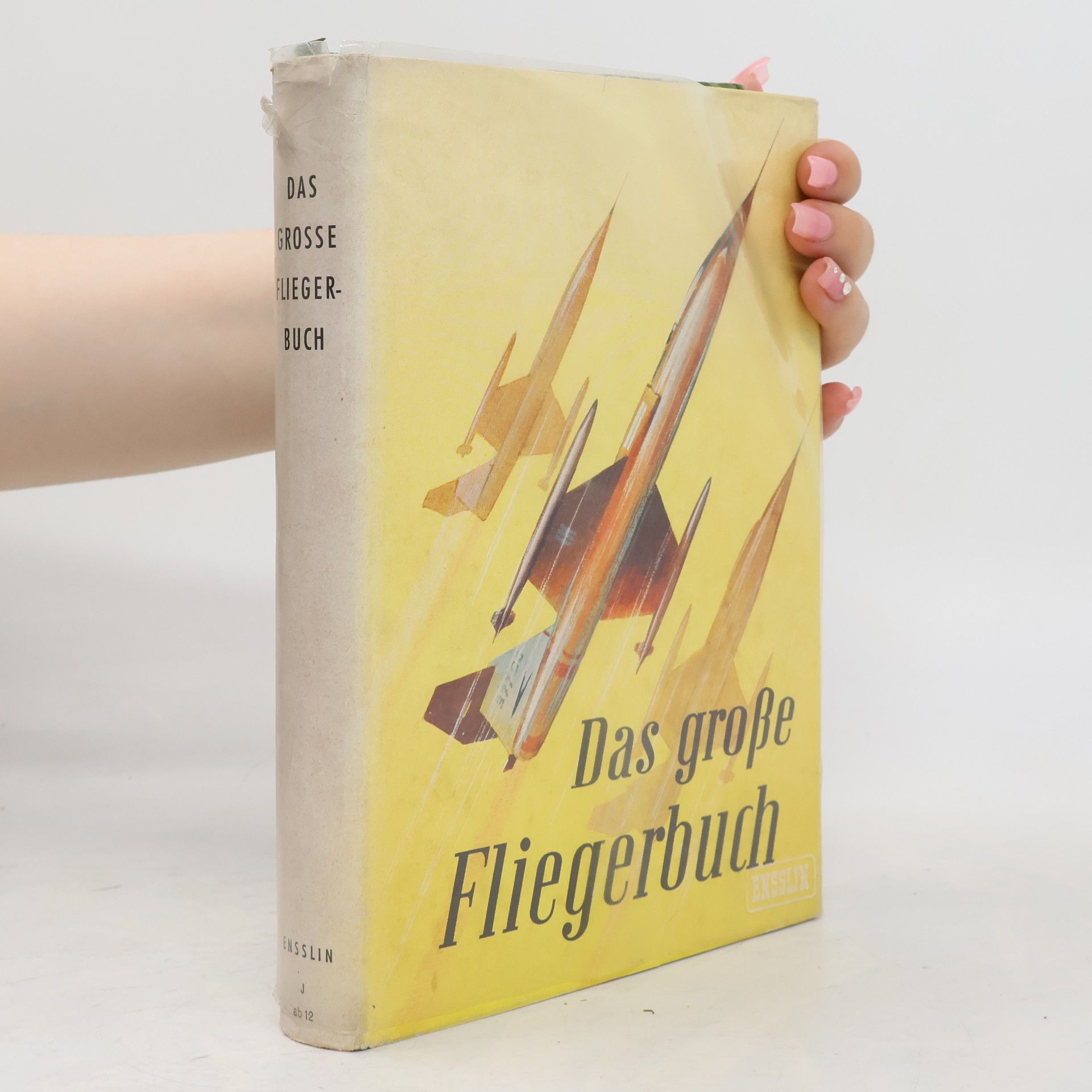 Autorenkollektiv Das Grosse Fliegerbuch