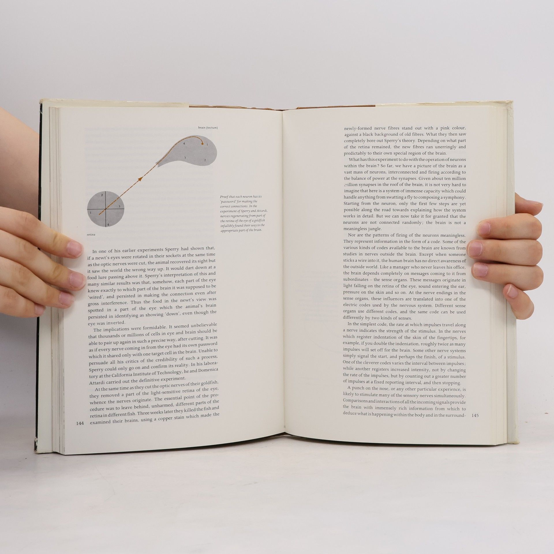 Collectif d'auteurs The Mind of Man