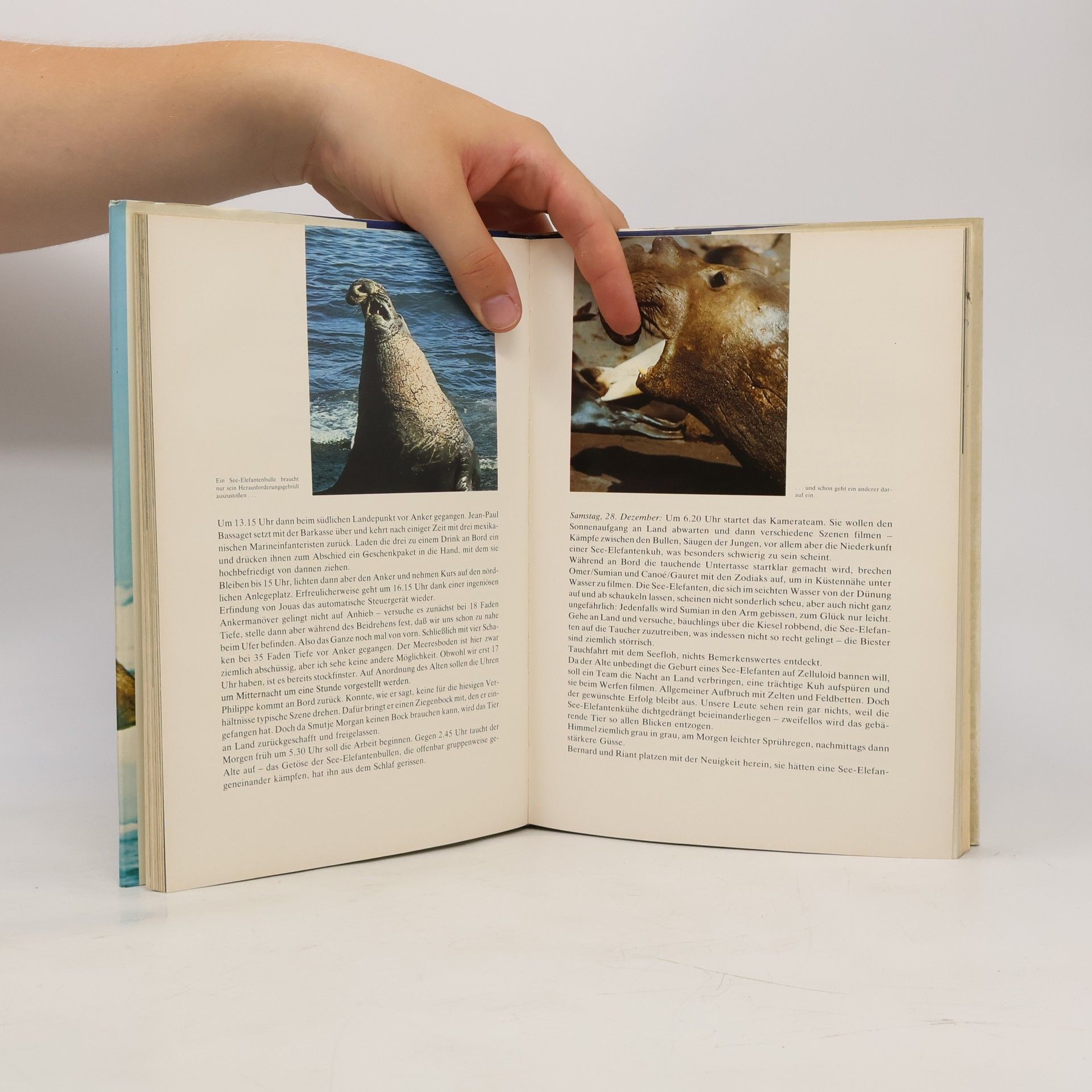 Jacques Yves Cousteau Robben, Seehunde, Walrosse
