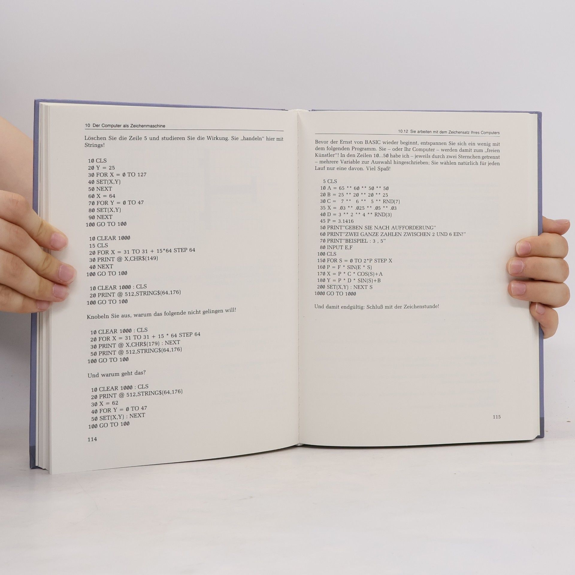 Rudolf Busch Franzis Computer-Praxis: Basic für Aufsteiger
