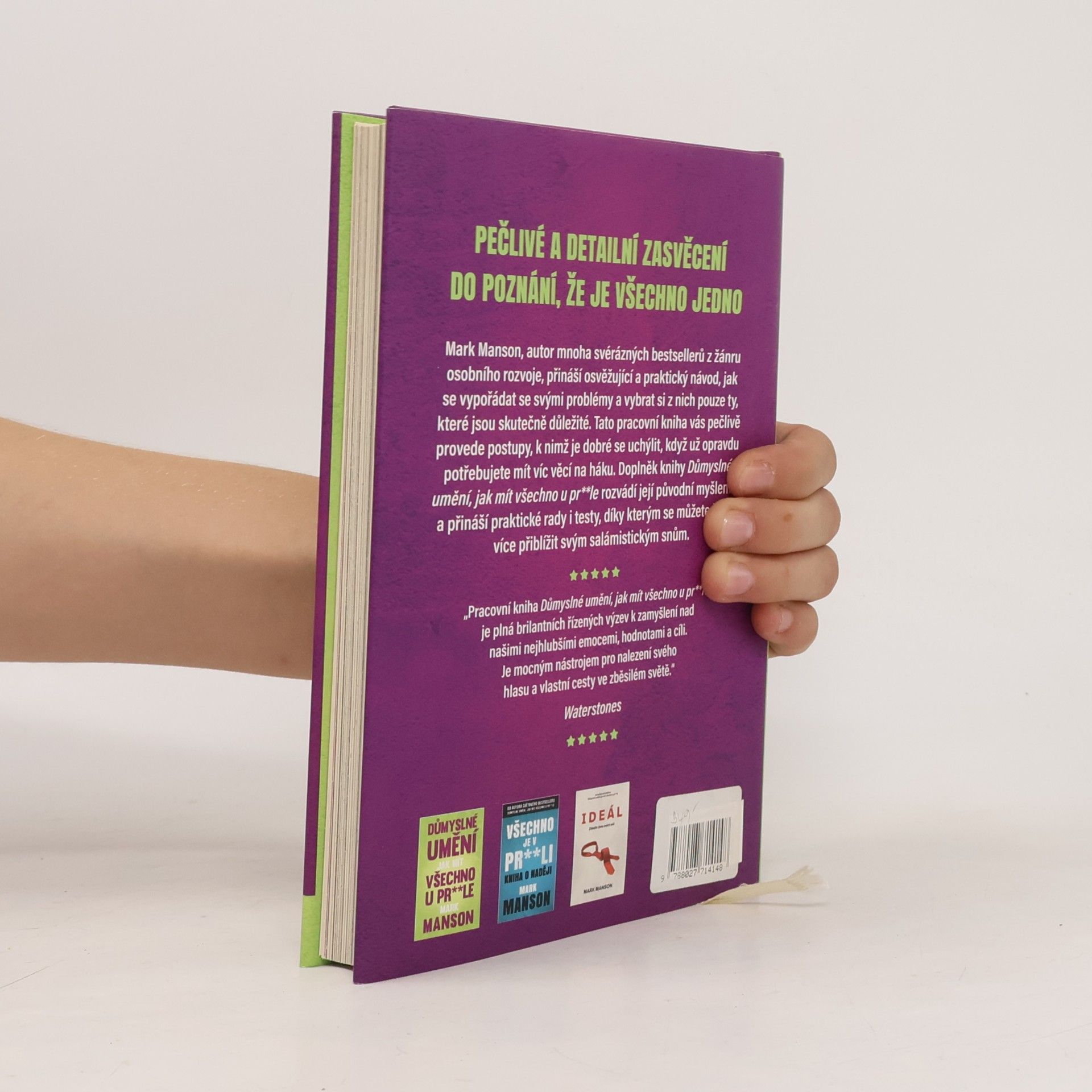 Mark Manson Důmyslné umění, jak mít všechno u pr**le. Pracovní kniha