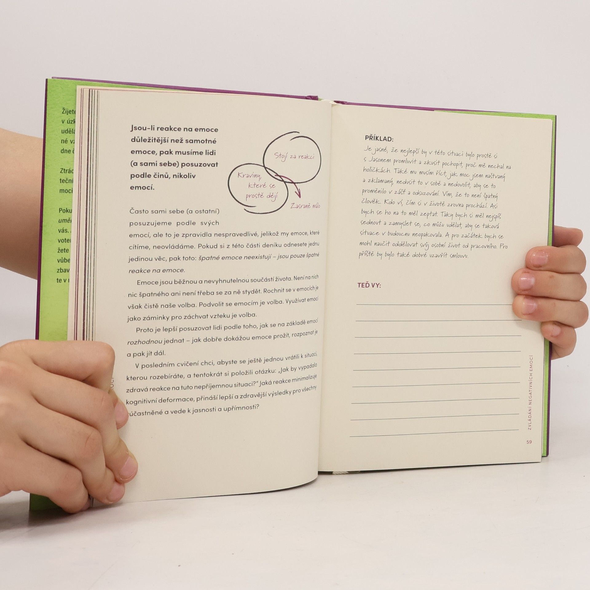 Mark Manson Důmyslné umění, jak mít všechno u pr**le. Pracovní kniha