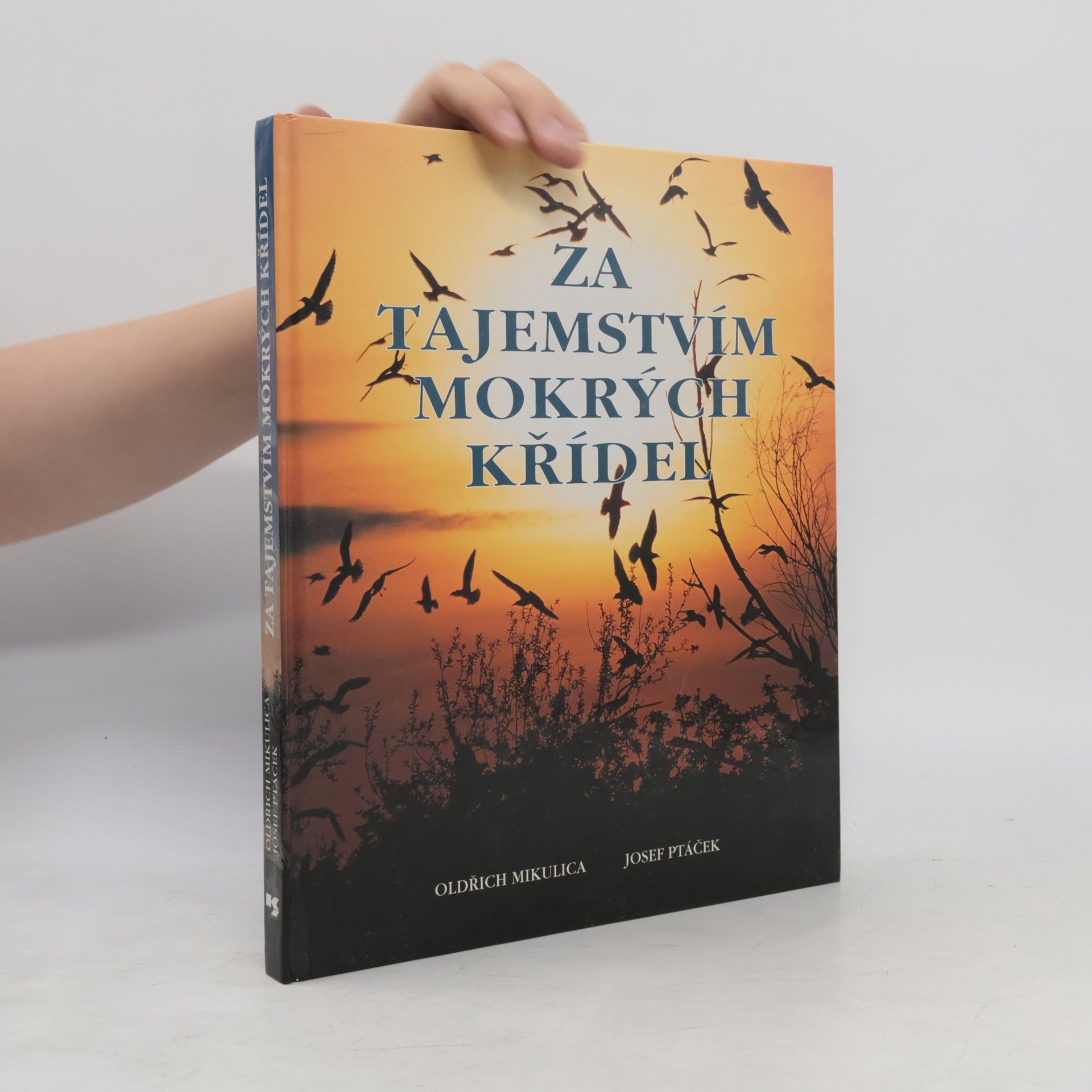 Oldřich Mikulica Za tajemstvím mokrých křídel