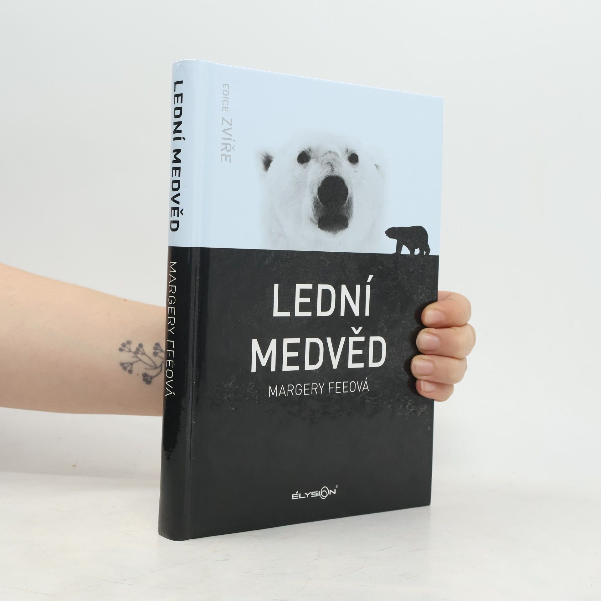 Margery Fee Lední medvěd