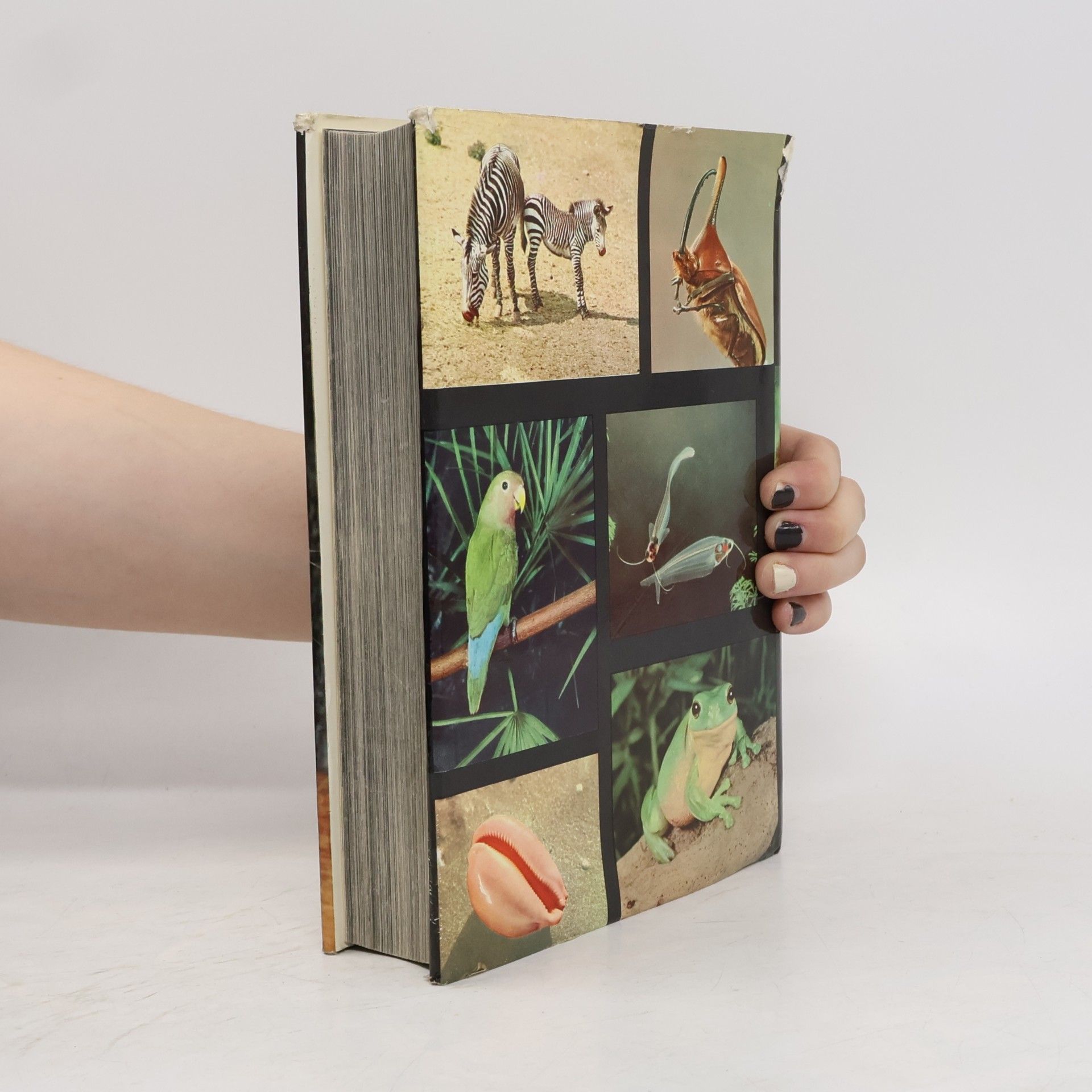 Václav Jan Staněk Pictorial Encyclopedia of the Animal Kingdom