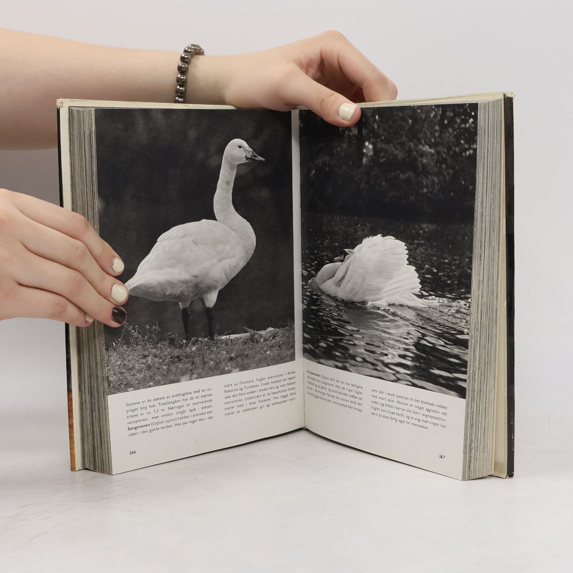 Václav Jan Staněk Pictorial Encyclopedia of the Animal Kingdom